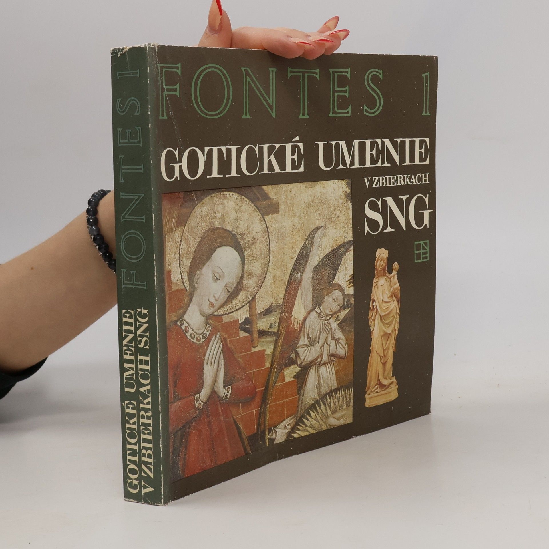 Autorenkollektiv Gotické umenie v zbierkach SNG