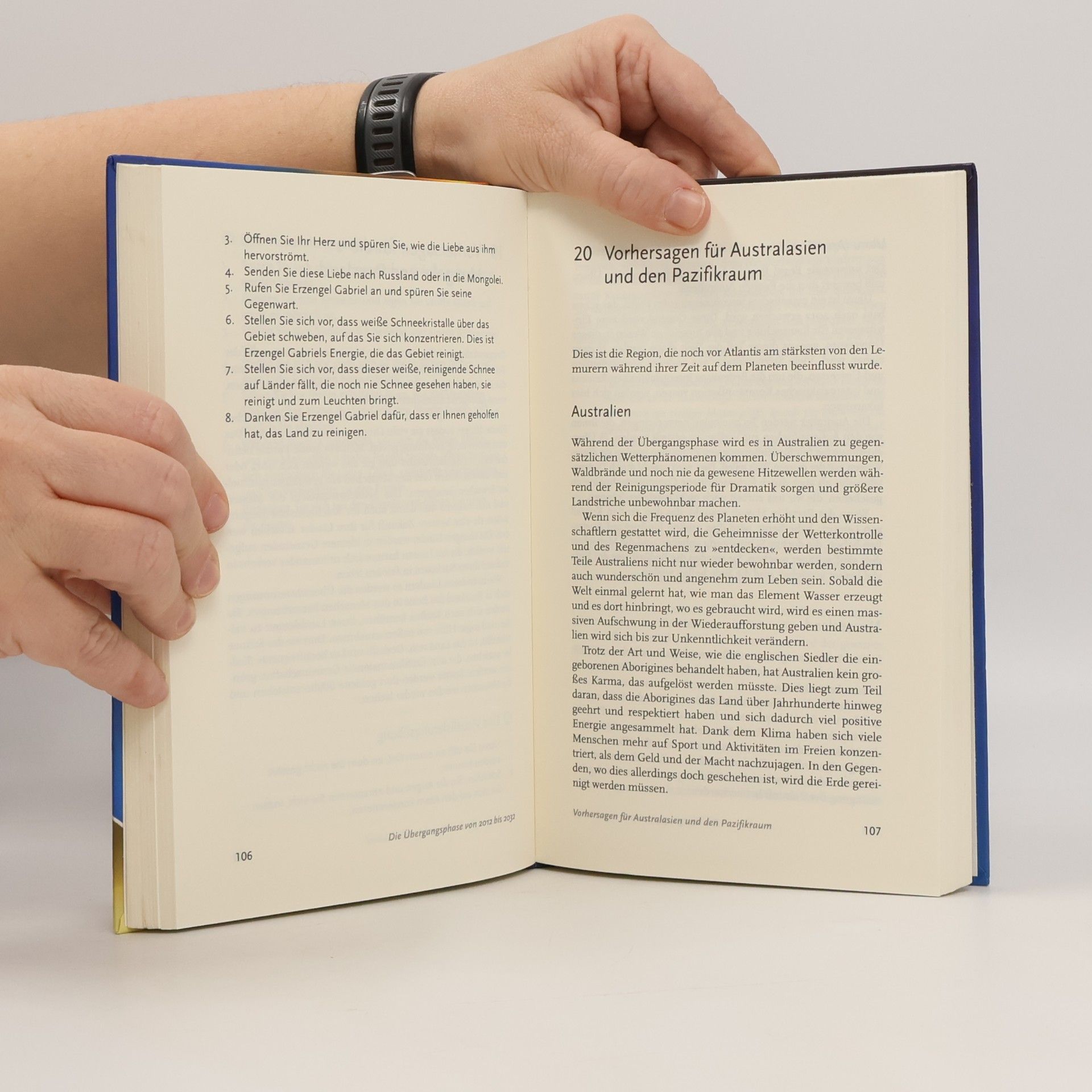 Diana Cooper 2012. Die Welt nimmt Kurs auf das neue Goldene Zeitalter