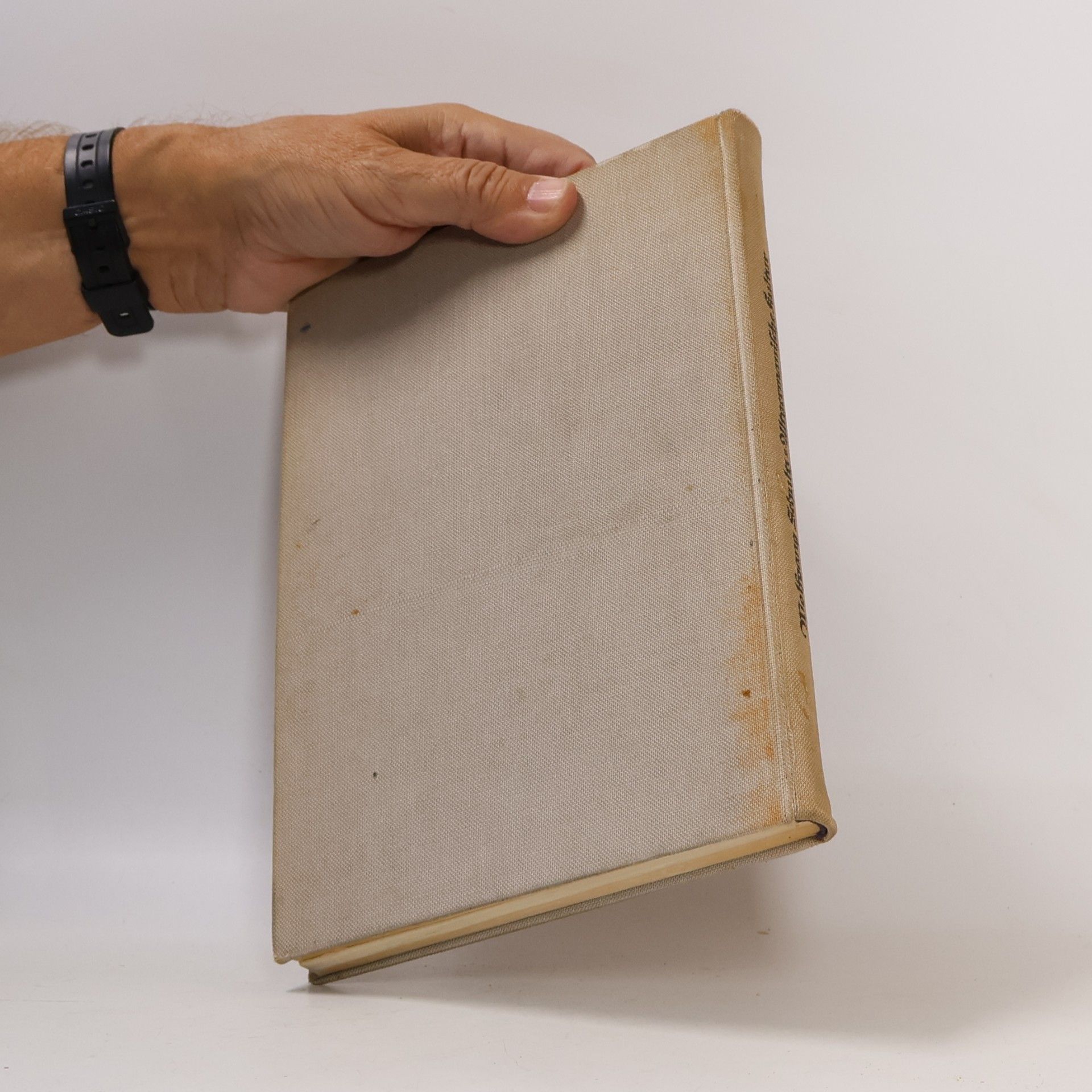 Wolfgang Schultz Altgermanische Kultur in Wort und Bild