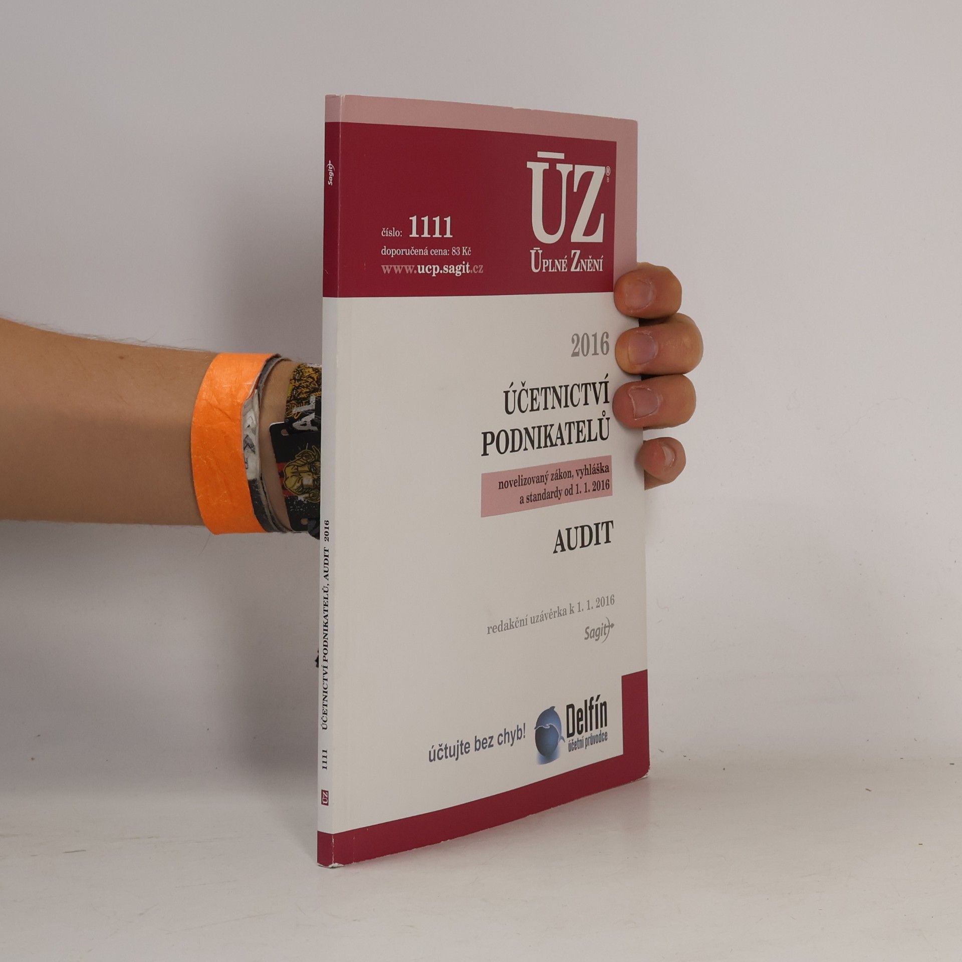 Česko Účetnictví podnikatelů 2016. Audit