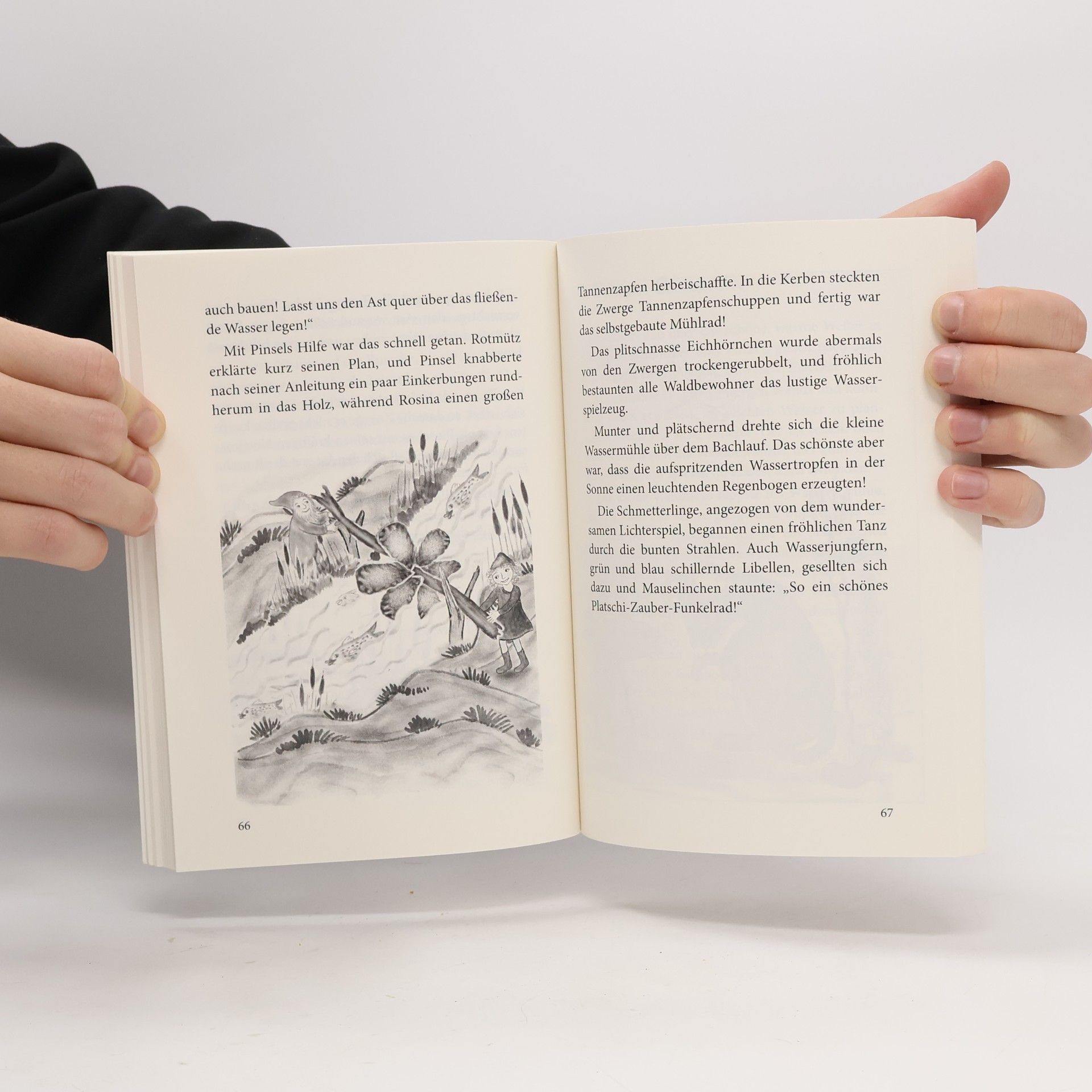 Astrid Pomaska Rotmütz der Zwerg - 3: Mittsommer im Eulenwald - Erweiterte Neuausgabe