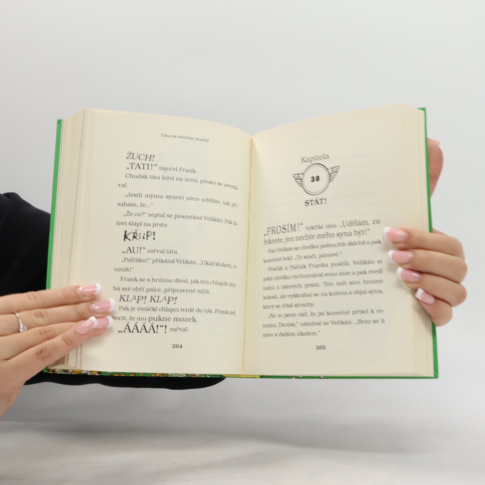 David Walliams Táta za všechny prachy