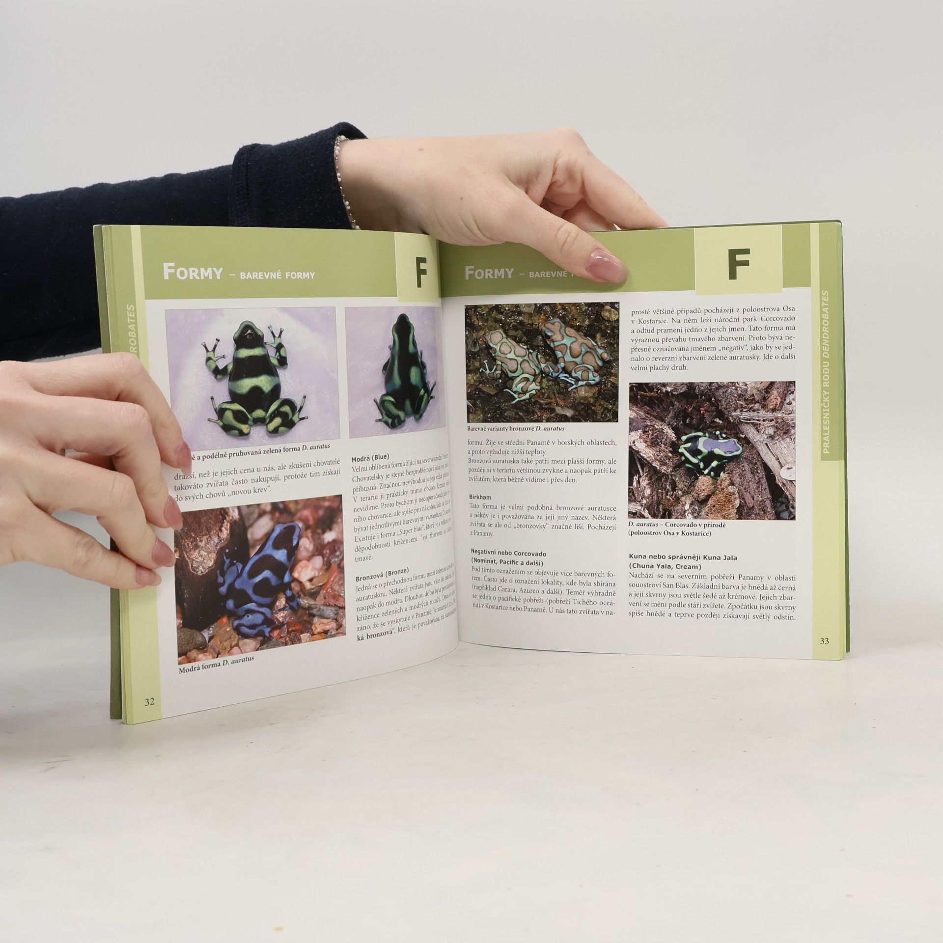 Karel Rozínek Pralesničky rodu Dendrobates
