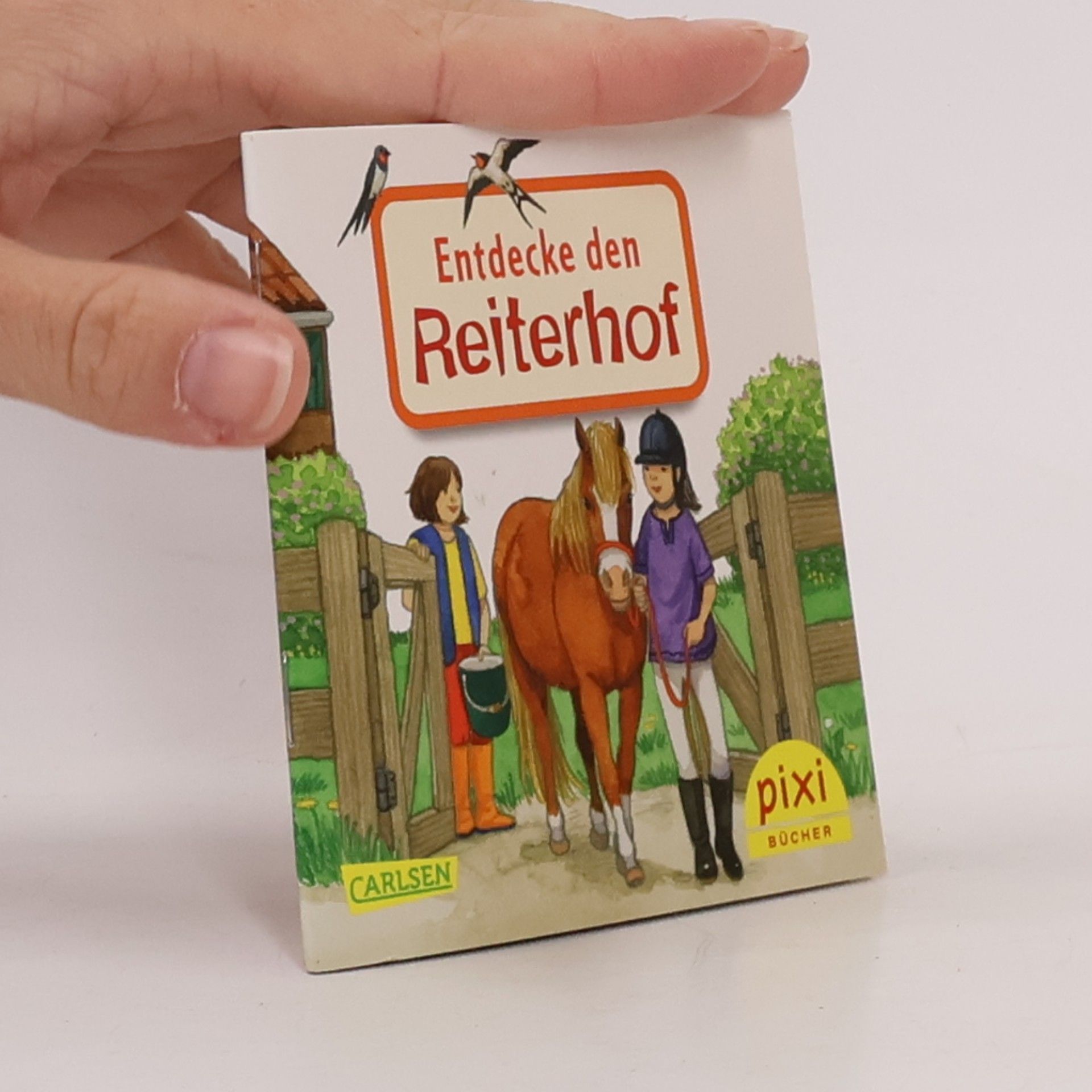 Kolektiv autorů Entdecke den Reiterhof