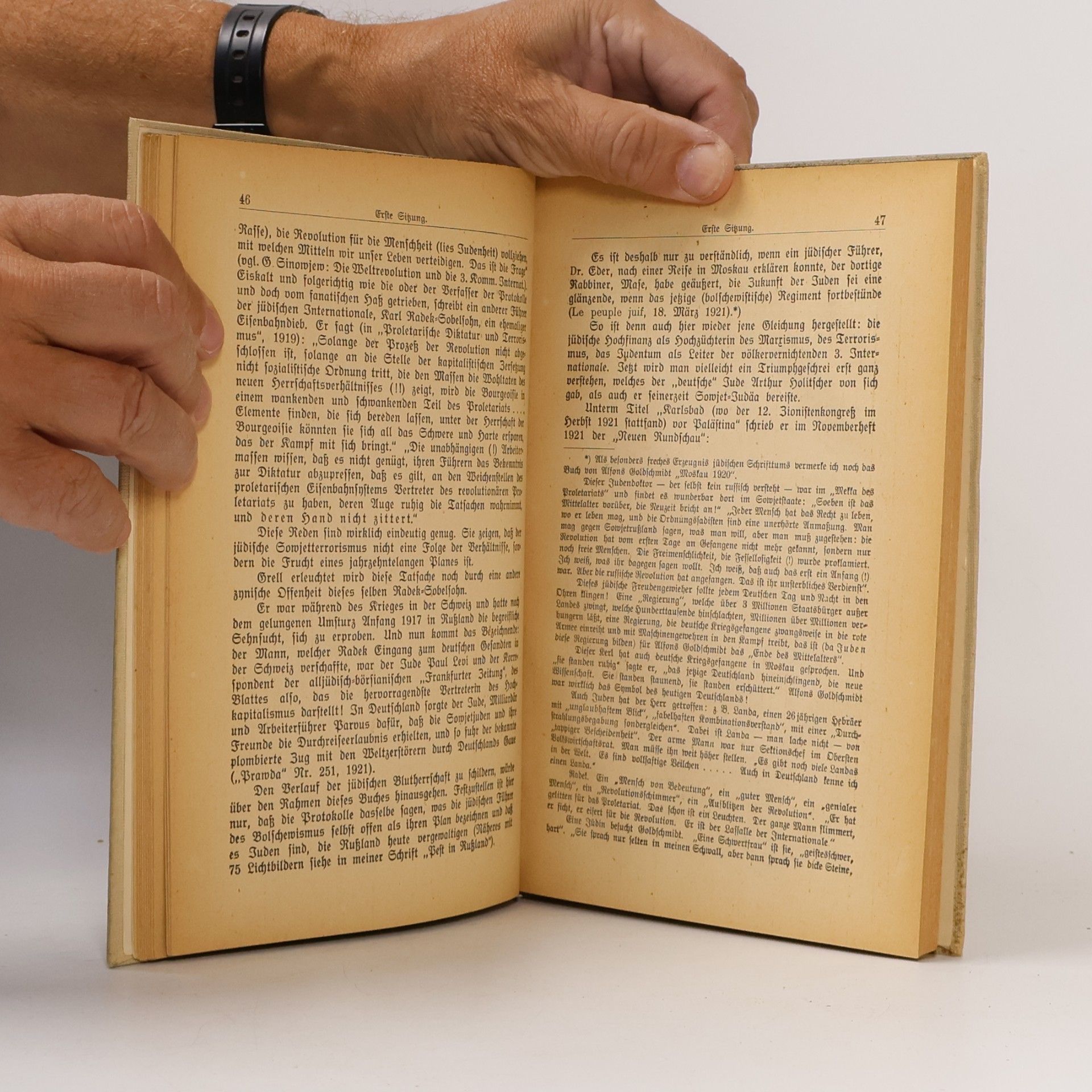 Alfred Rosenberg Die Protokolle der Weisen von Zion und die jüdische Weltpolitik