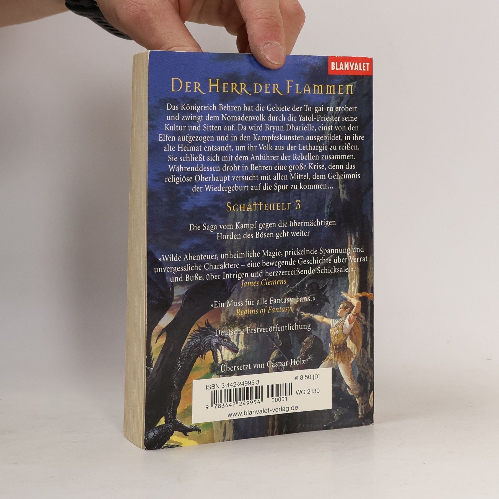 Caspar Holz Schattenelf - 3: Der Herr der Flammen