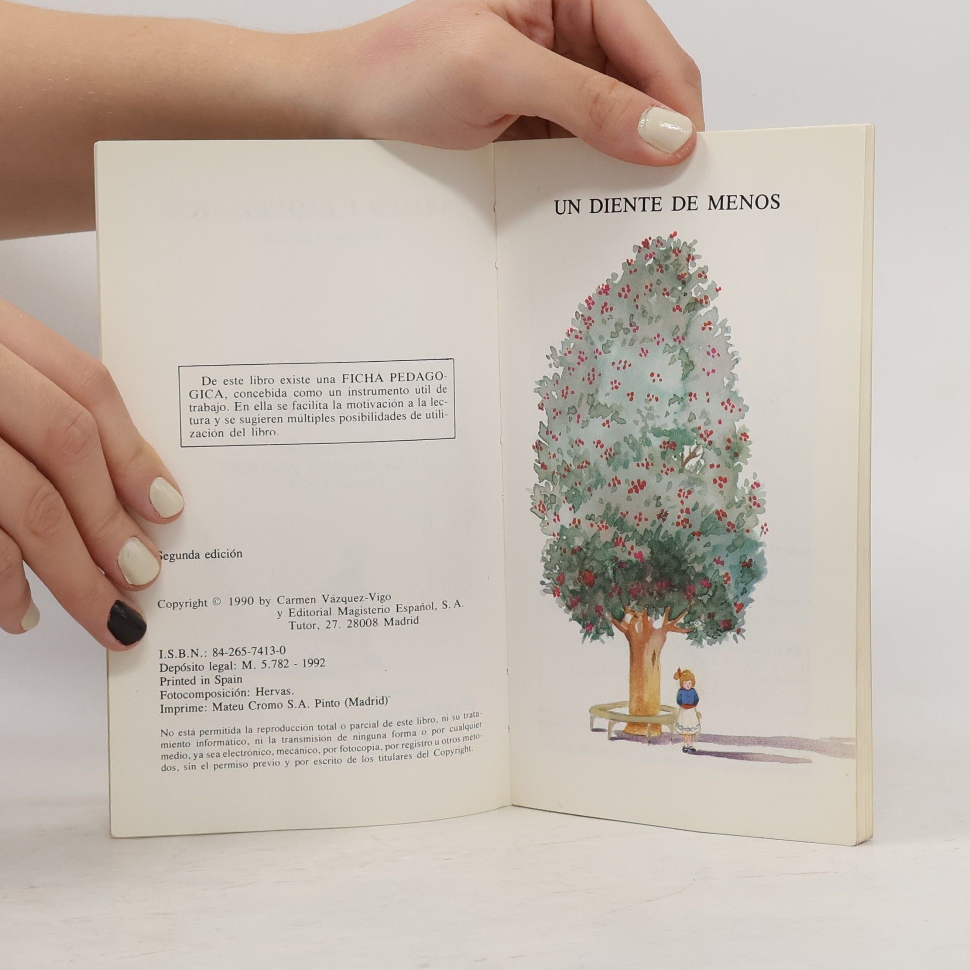 Carmen Vázquez-Vigo Coleccion Punto Infantil - 24: Rosa Sosa