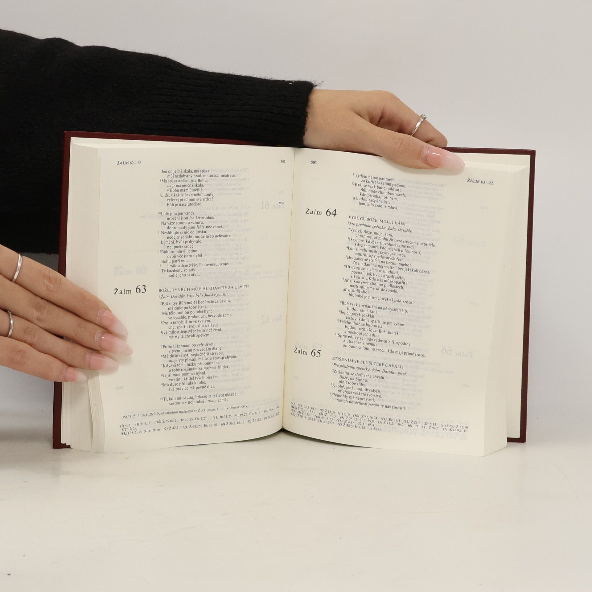 Kolektiv autorů Bible : písmo svaté Starého a Nového zákona : český ekumenický překlad