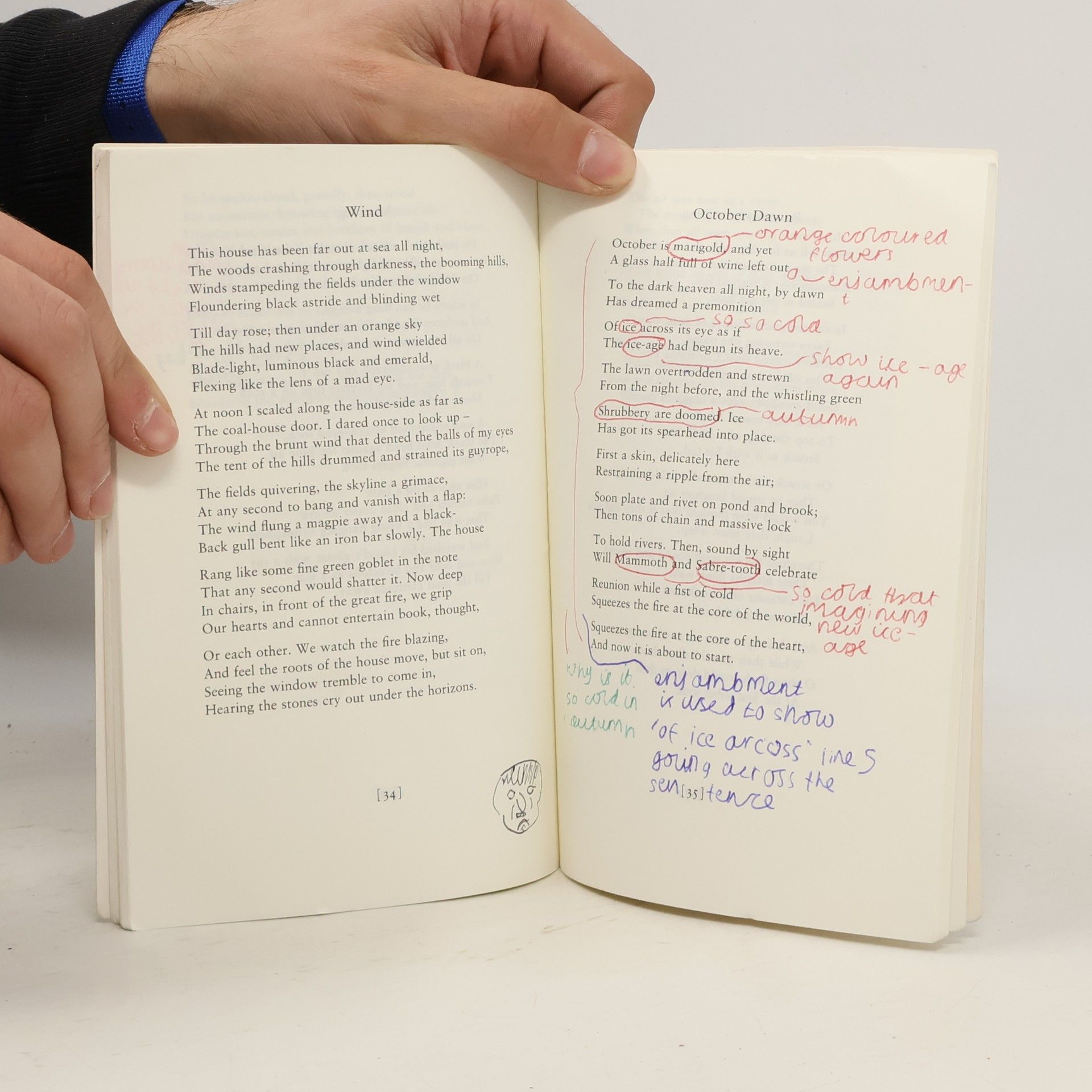 Ted Hughes Faber Modern Classics: The Hawk in the Rain