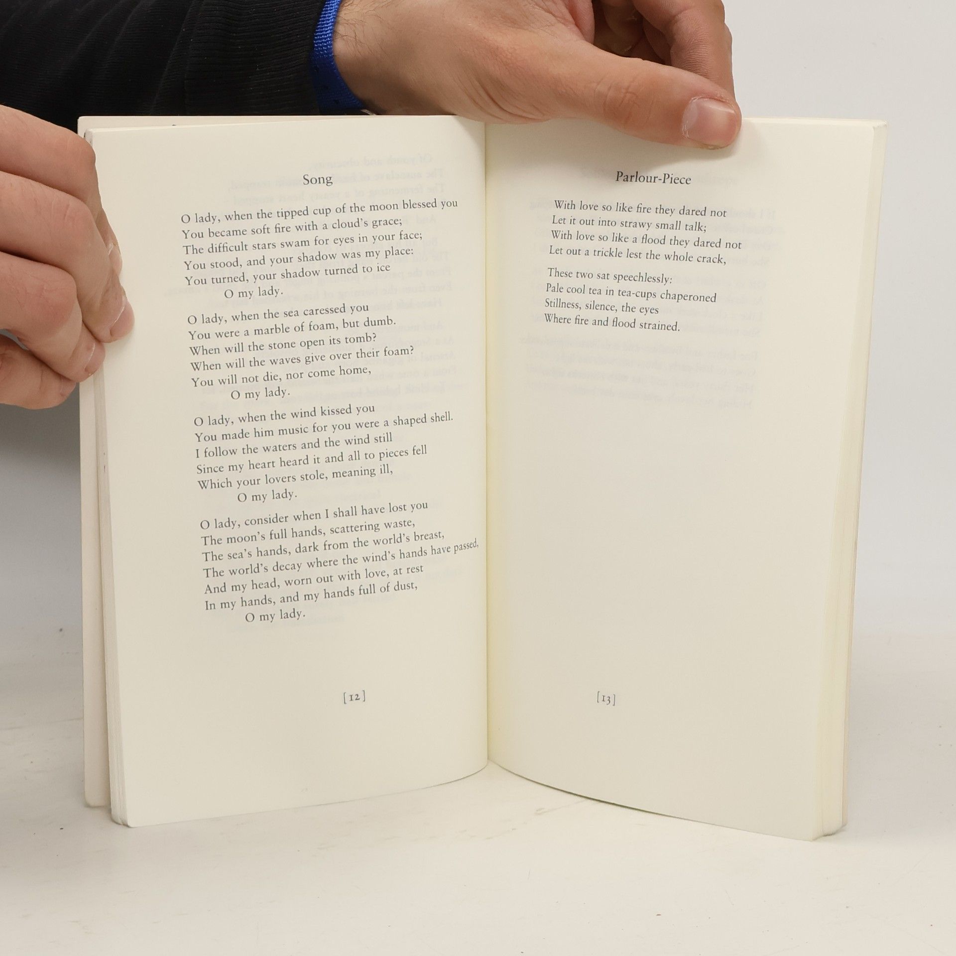 Ted Hughes Faber Modern Classics: The Hawk in the Rain