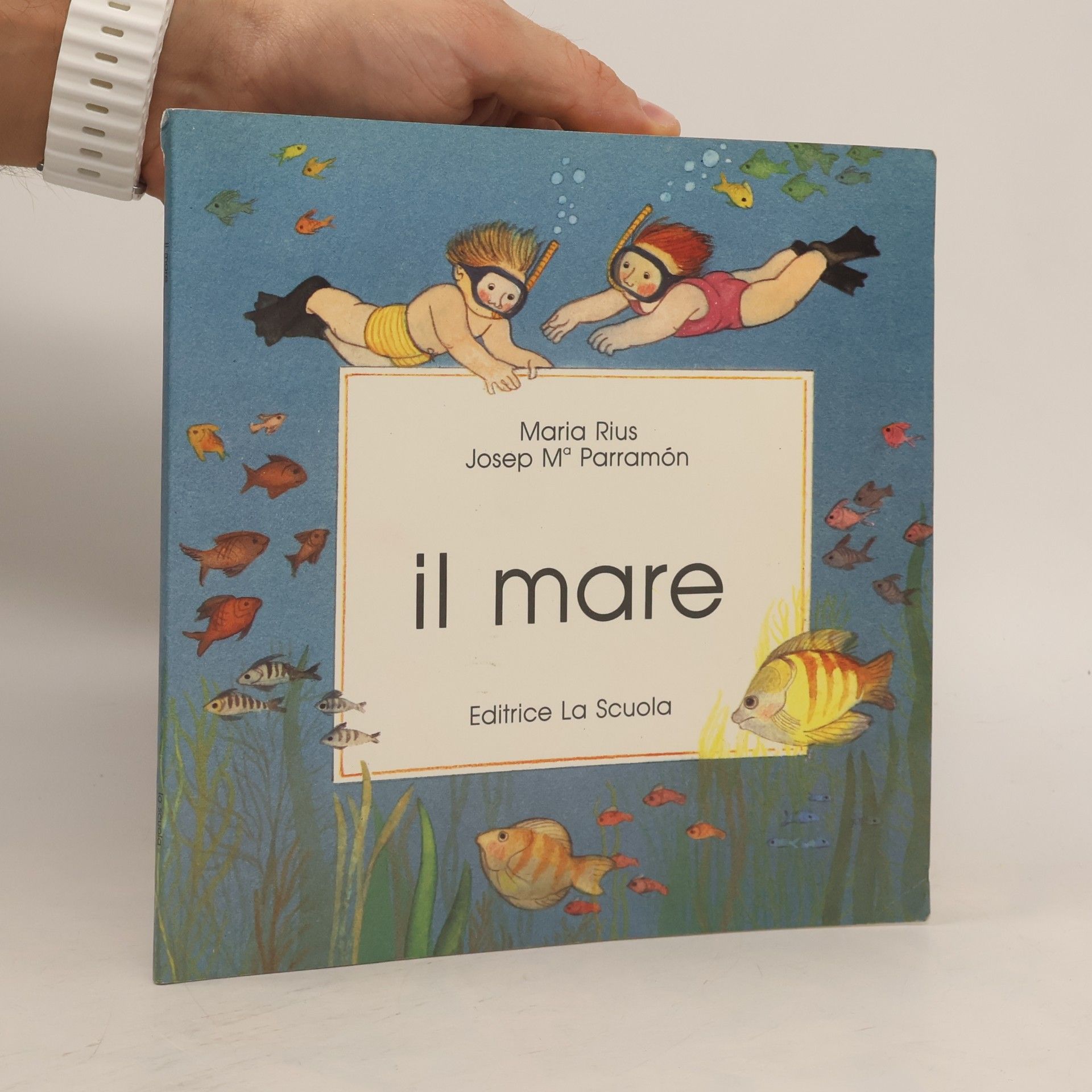 mare