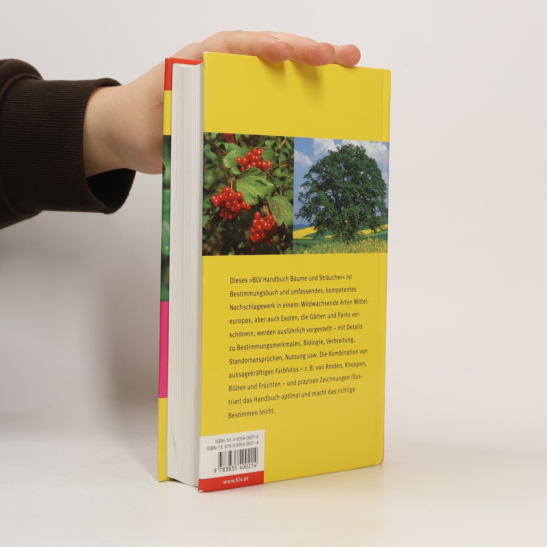 Hans-Ulrich Hecker BLV-Handbuch Bäume und Sträucher