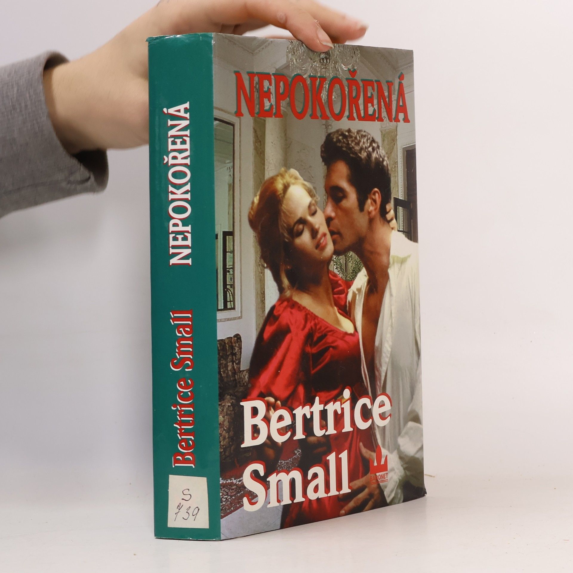 Bertrice Small Nepokořená