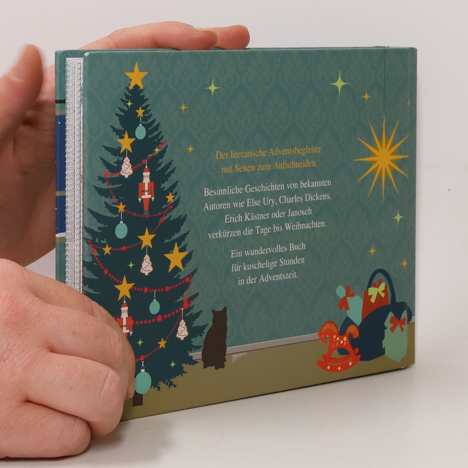 24 Kamingeschichten für den Advent