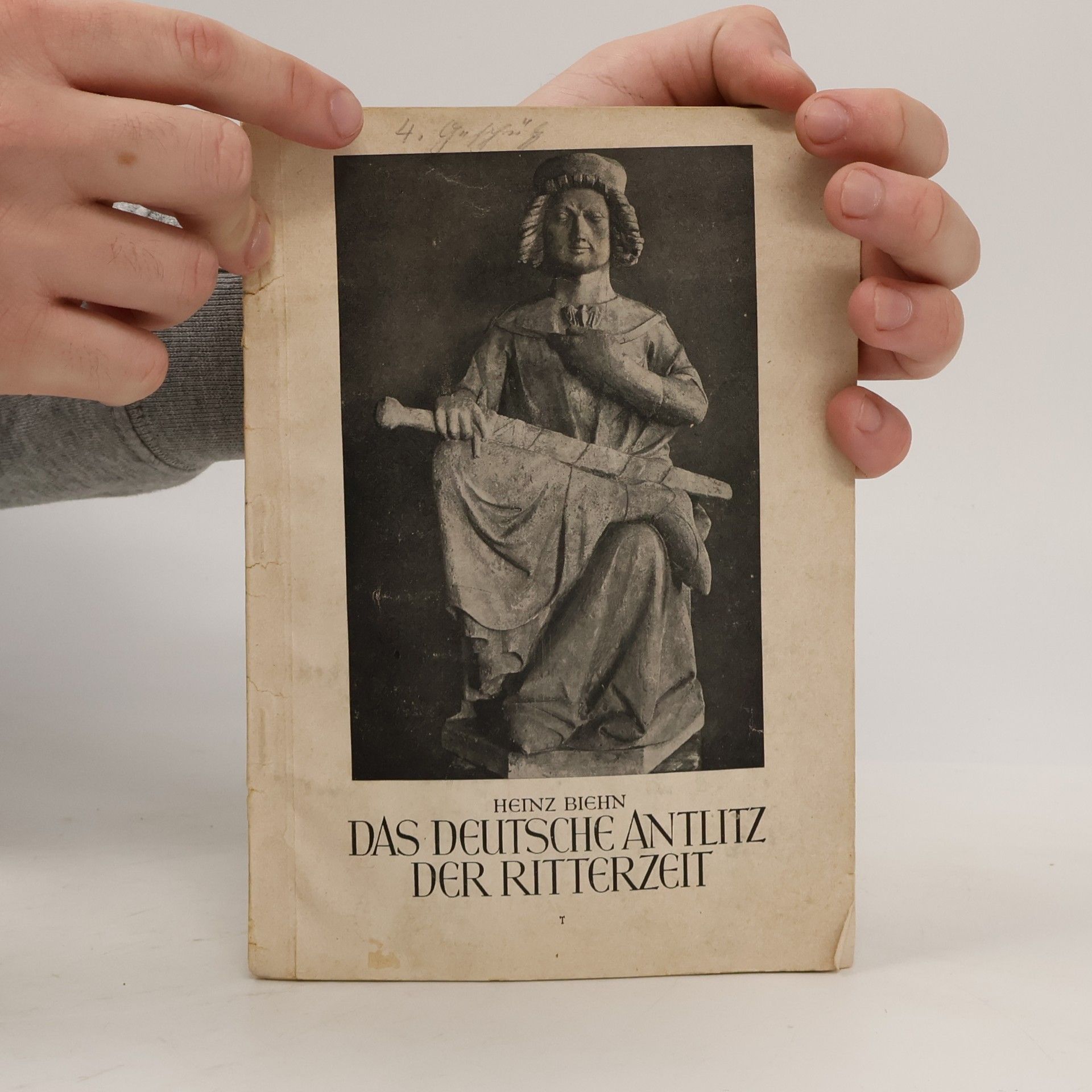 Heinz Biehn Das deutsche Antlitz der Ritterzeit