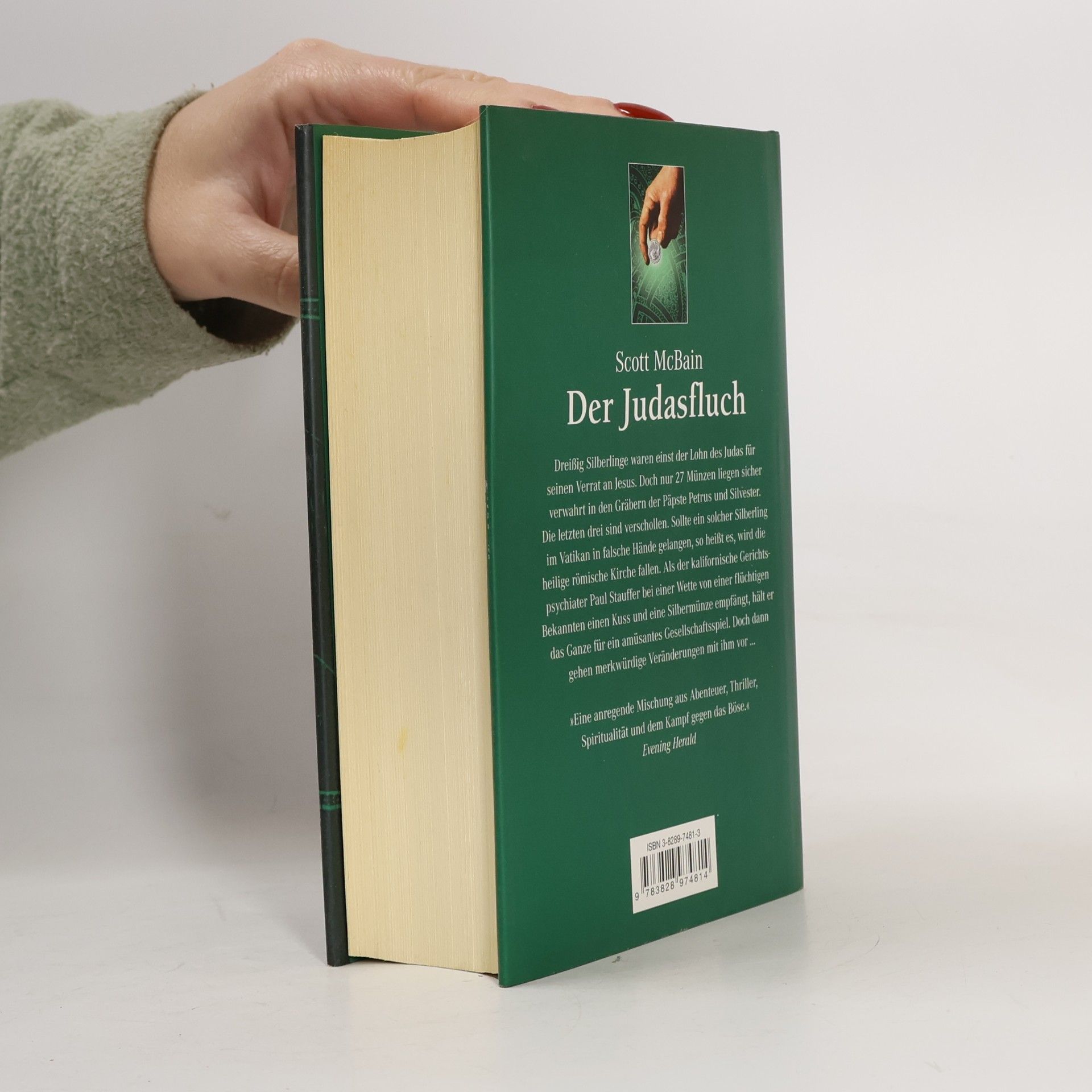 Scott McBain Der Judasfluch