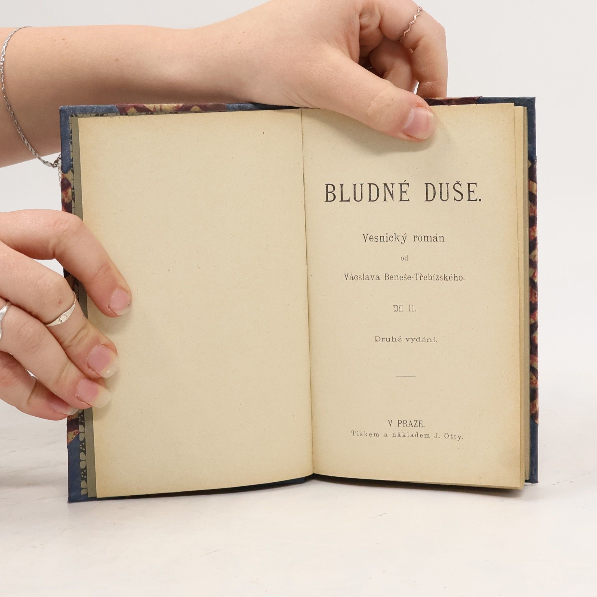 Vácslav Beneš-Třebízský Bludné duše. Díl II.