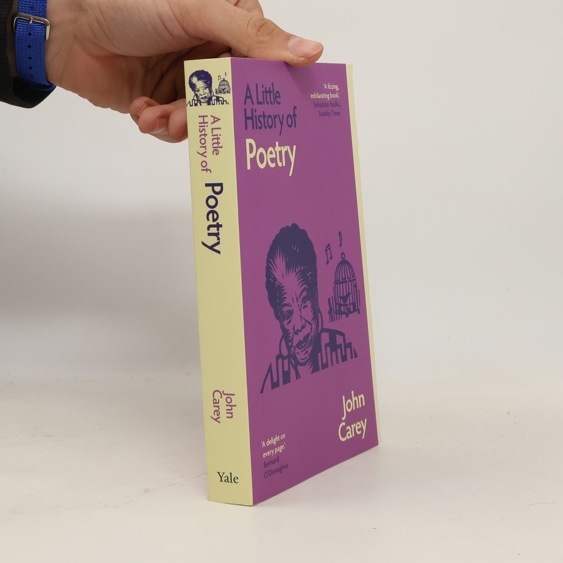 John Carey A Little History of Poetry
