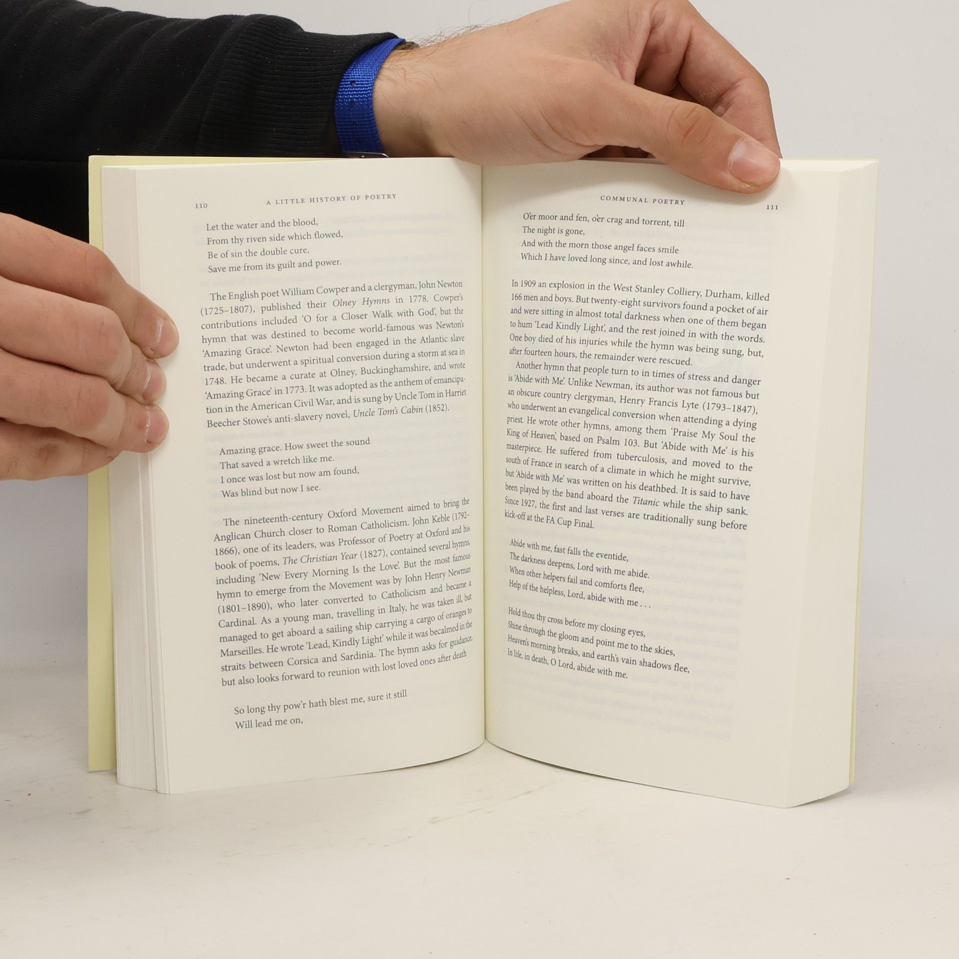John Carey A Little History of Poetry