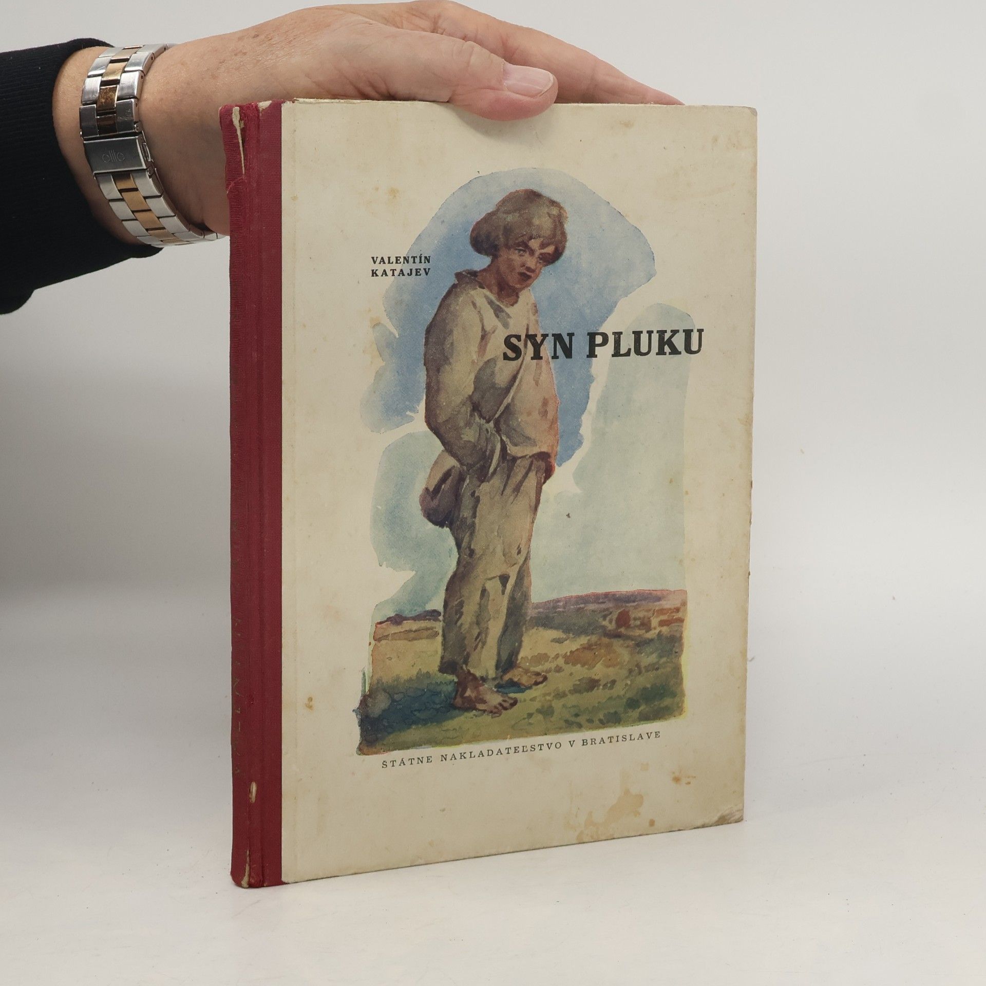 Syn pluku