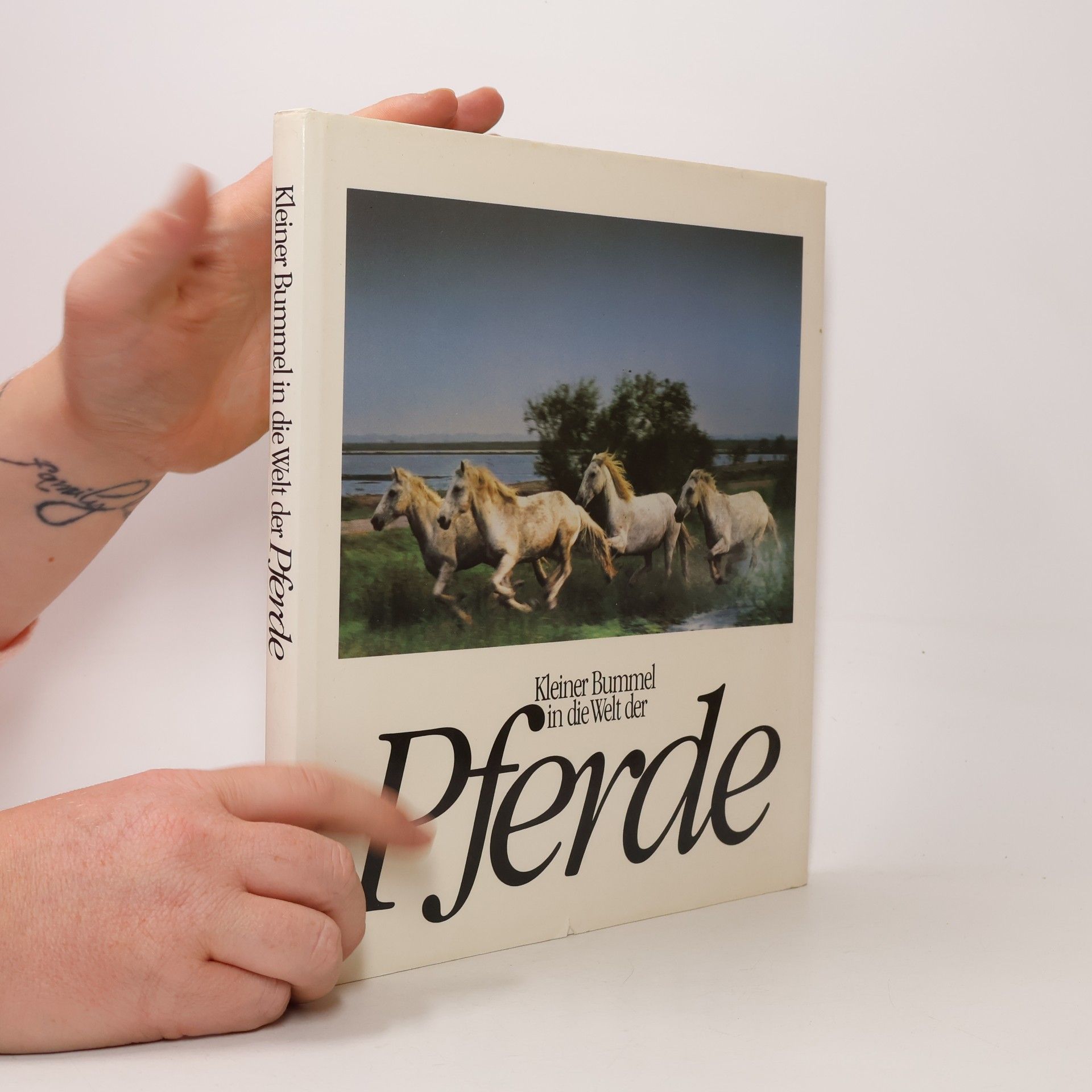 Kleiner Bummel in die Welt der Pferde