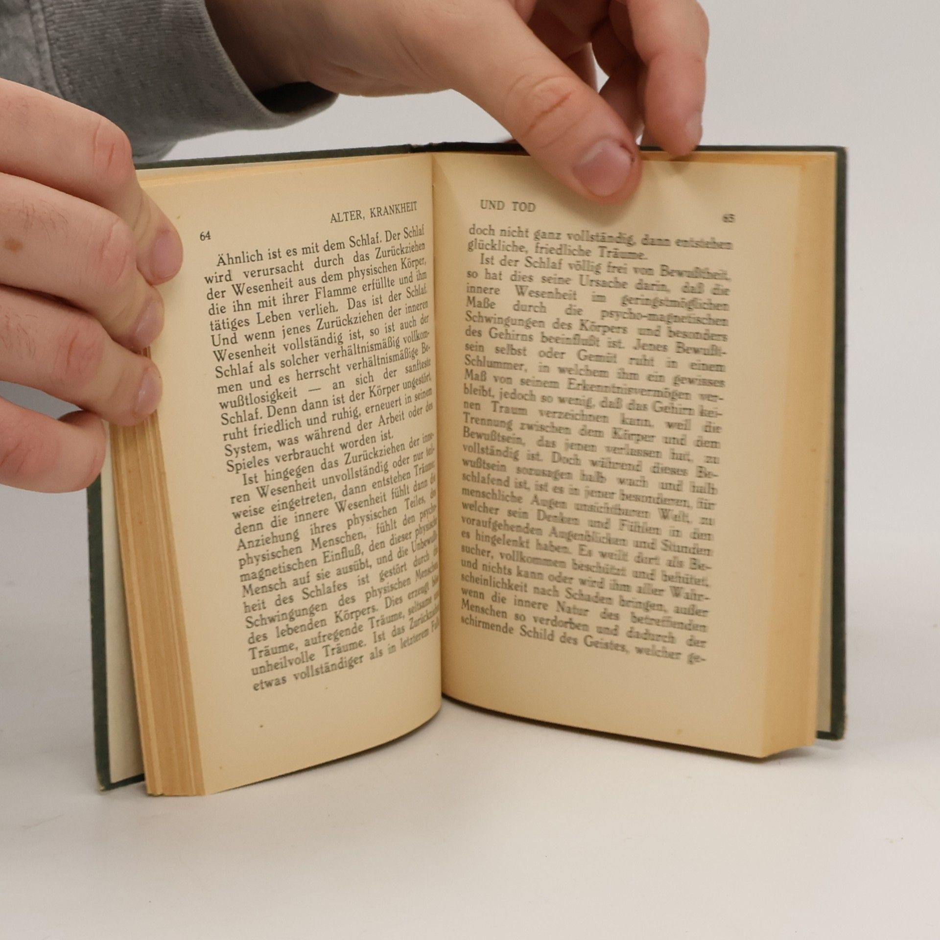 Gottfried de Purucker Goldene Regeln der Esoterik