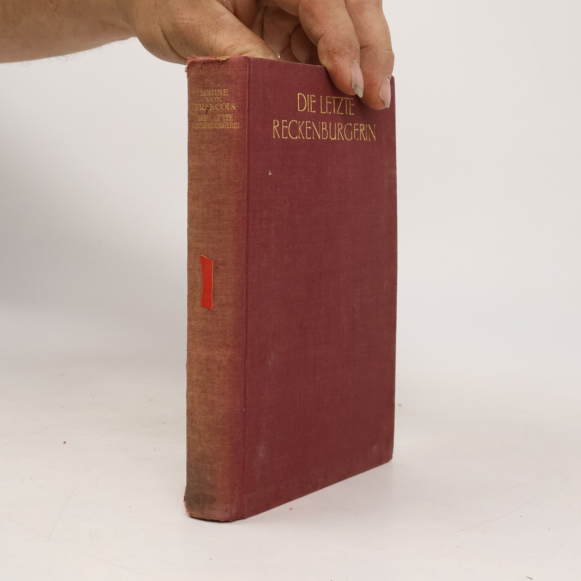 Louise von François Die letzte Reckenburgerin