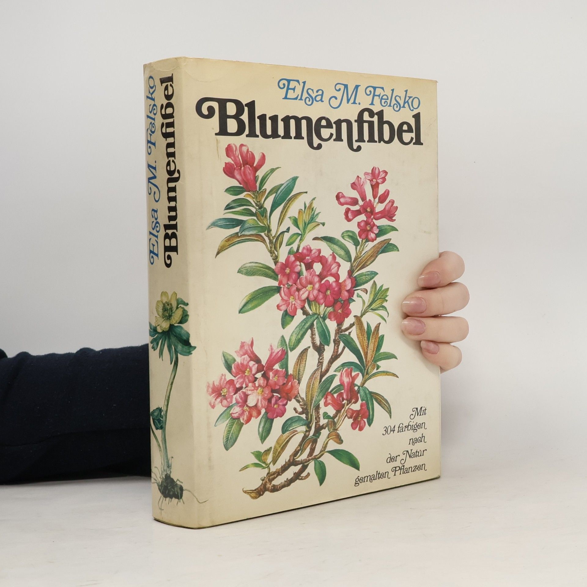 Blumenfibel