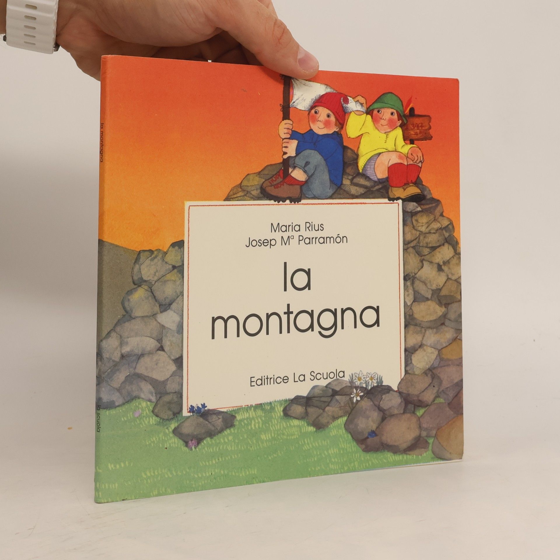 Ambienti: La montagna