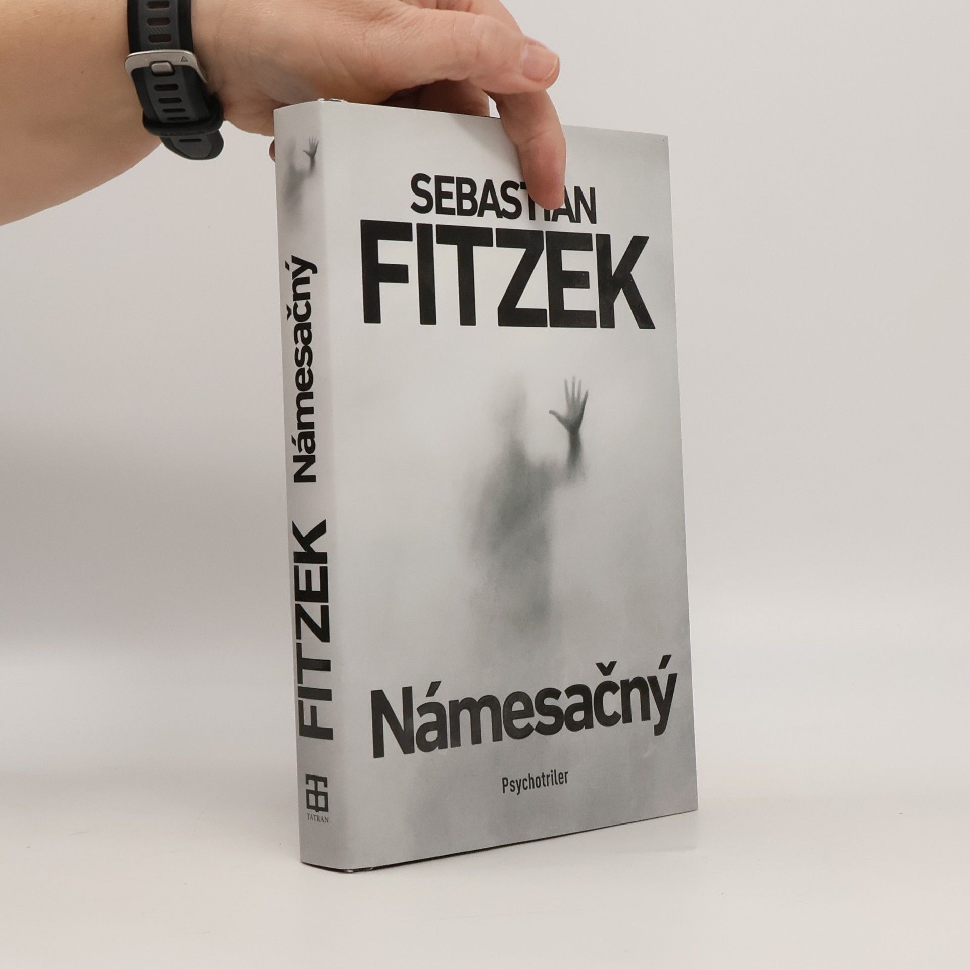 Námesačný