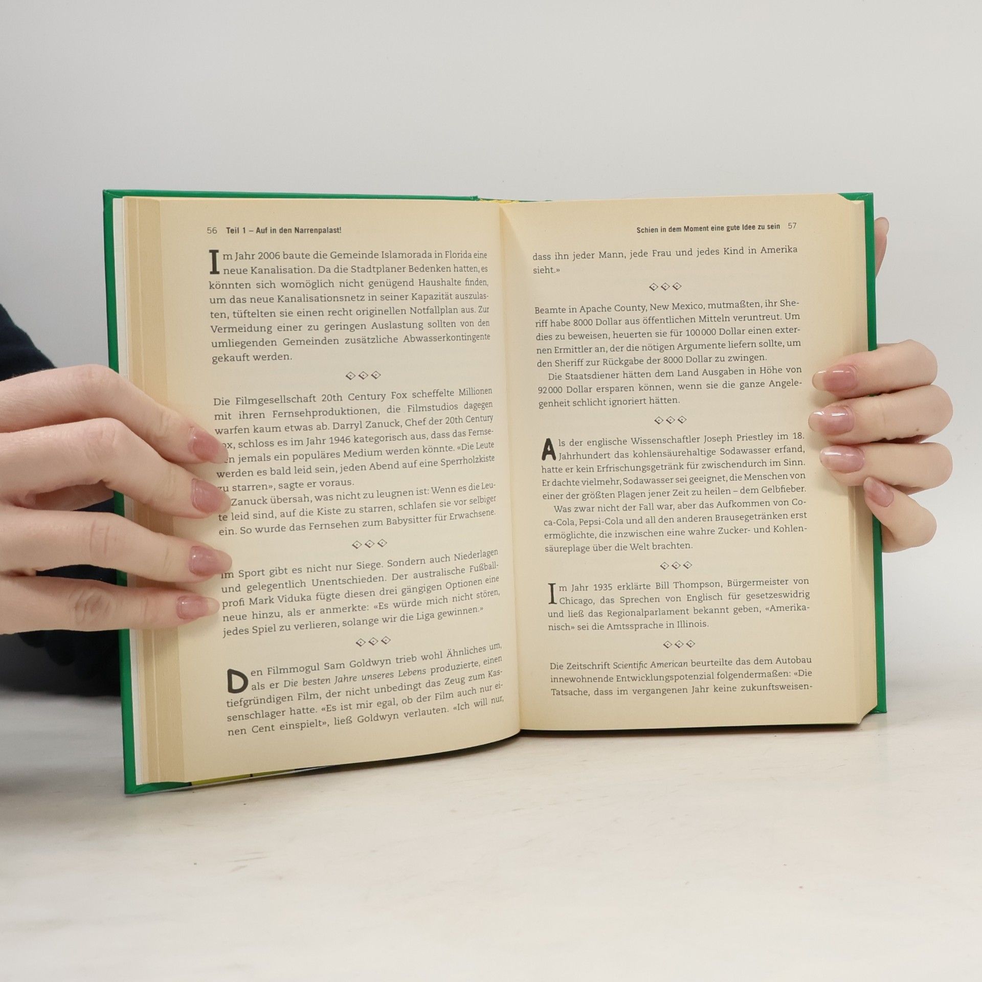 Bob Fenster Das große Buch der menschlichen Dummheiten
