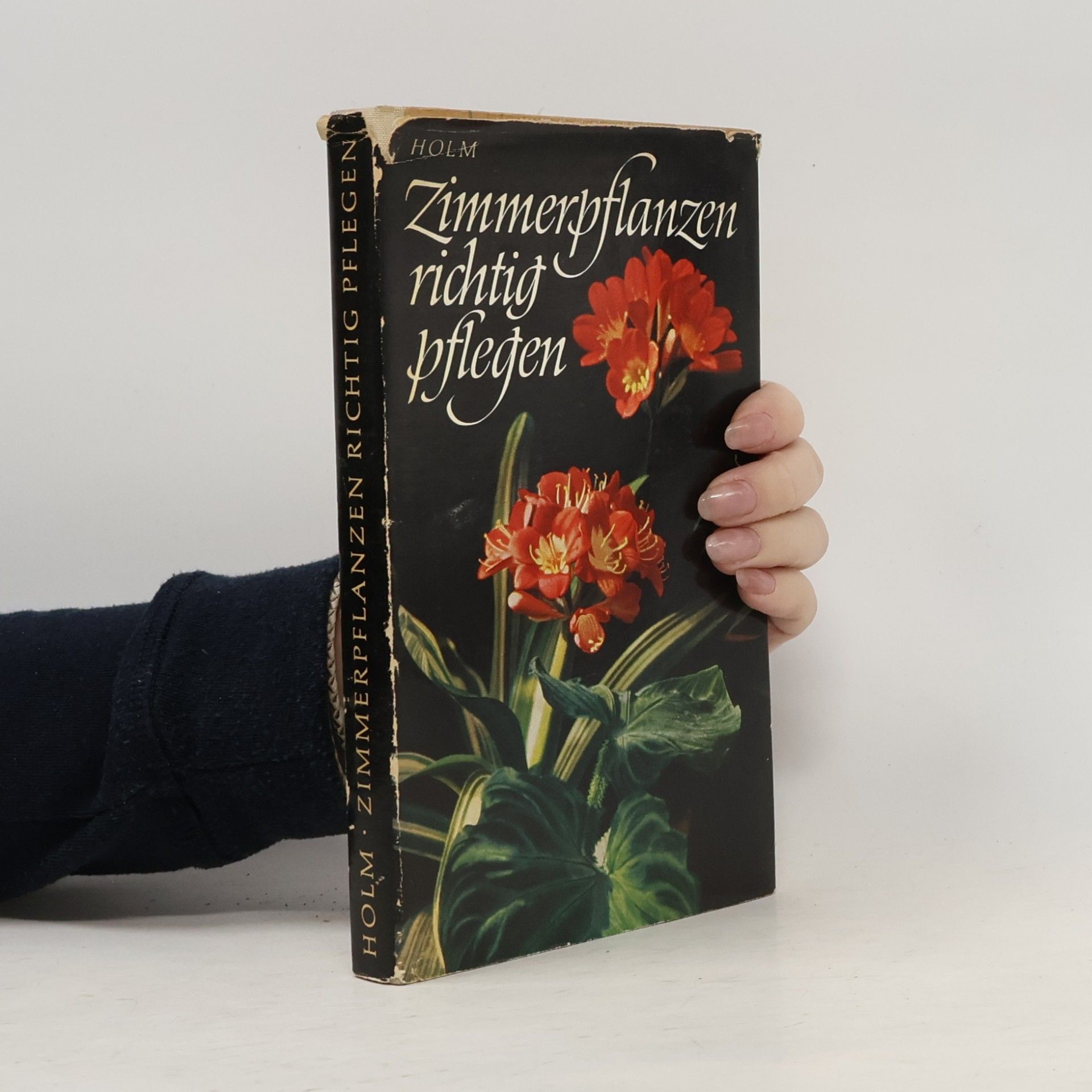 Hermann Holm Zimmerpflanzen Richtig Pflegen
