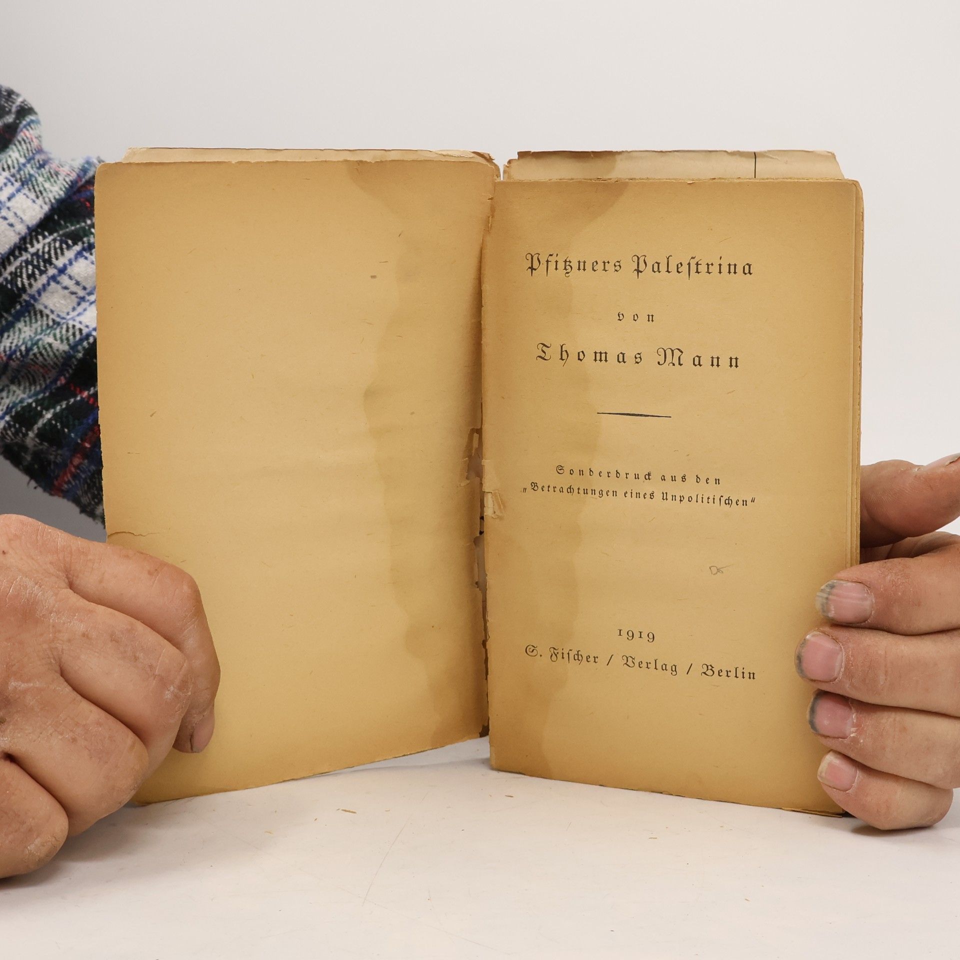 Thomas Mann Palestrina (Sonderdruck aus den Betrachtungen eines Unpolitischen)