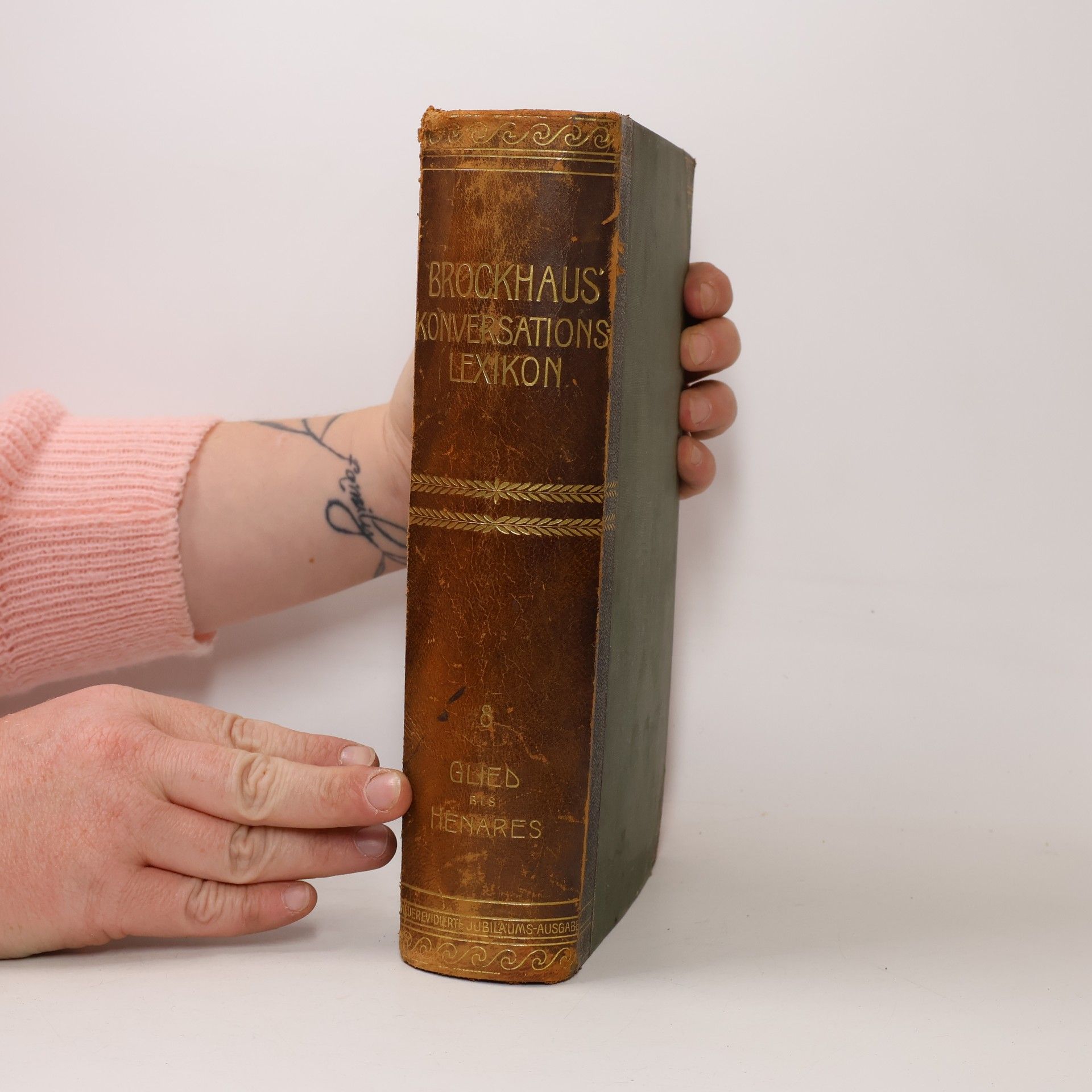 Autorenkollektiv Brockhaus' Konversations-Lexikon 8