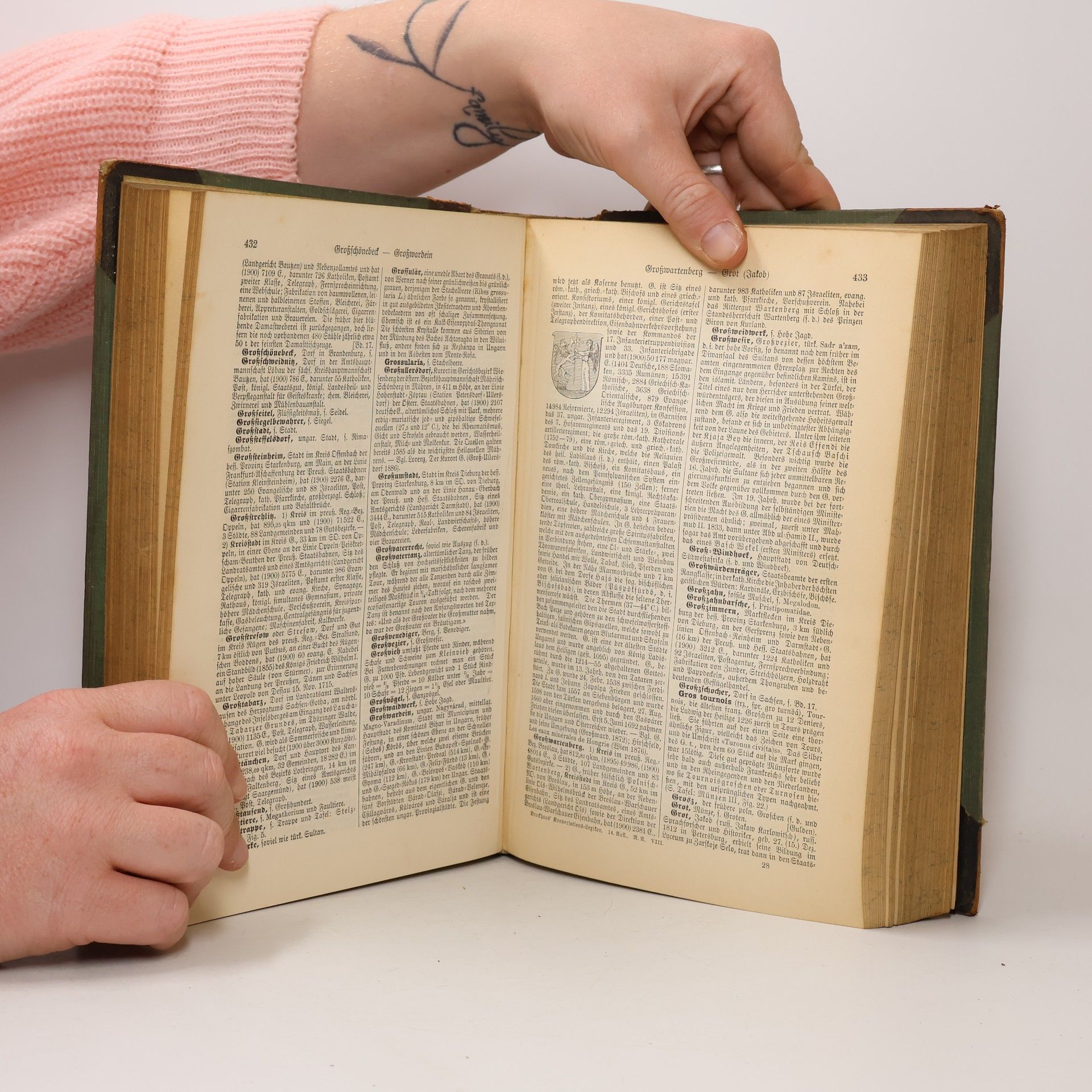 Autorenkollektiv Brockhaus' Konversations-Lexikon 8