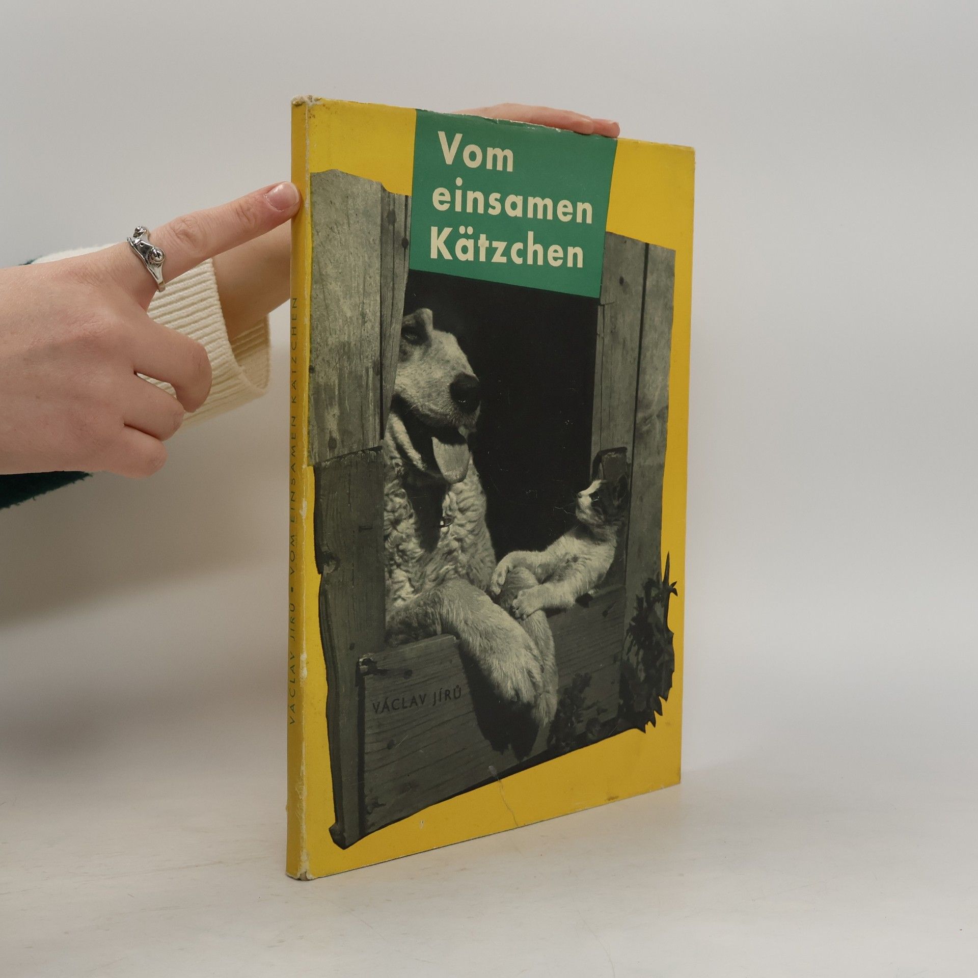 Václav Jírů Vom einsamen Kätzchen