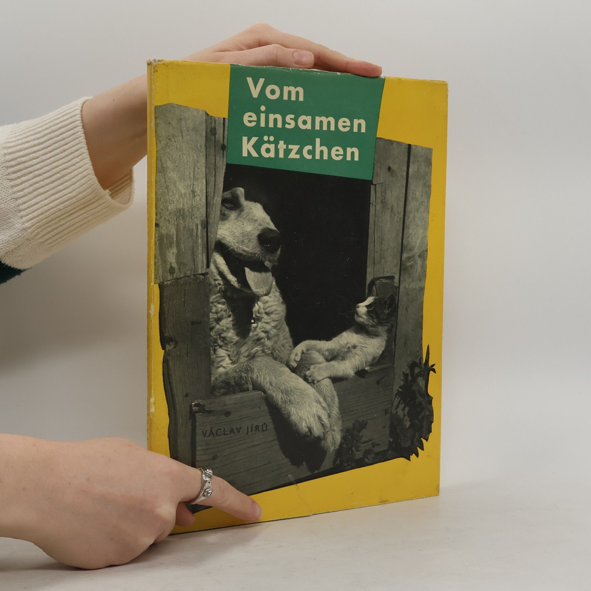 Václav Jírů Vom einsamen Kätzchen