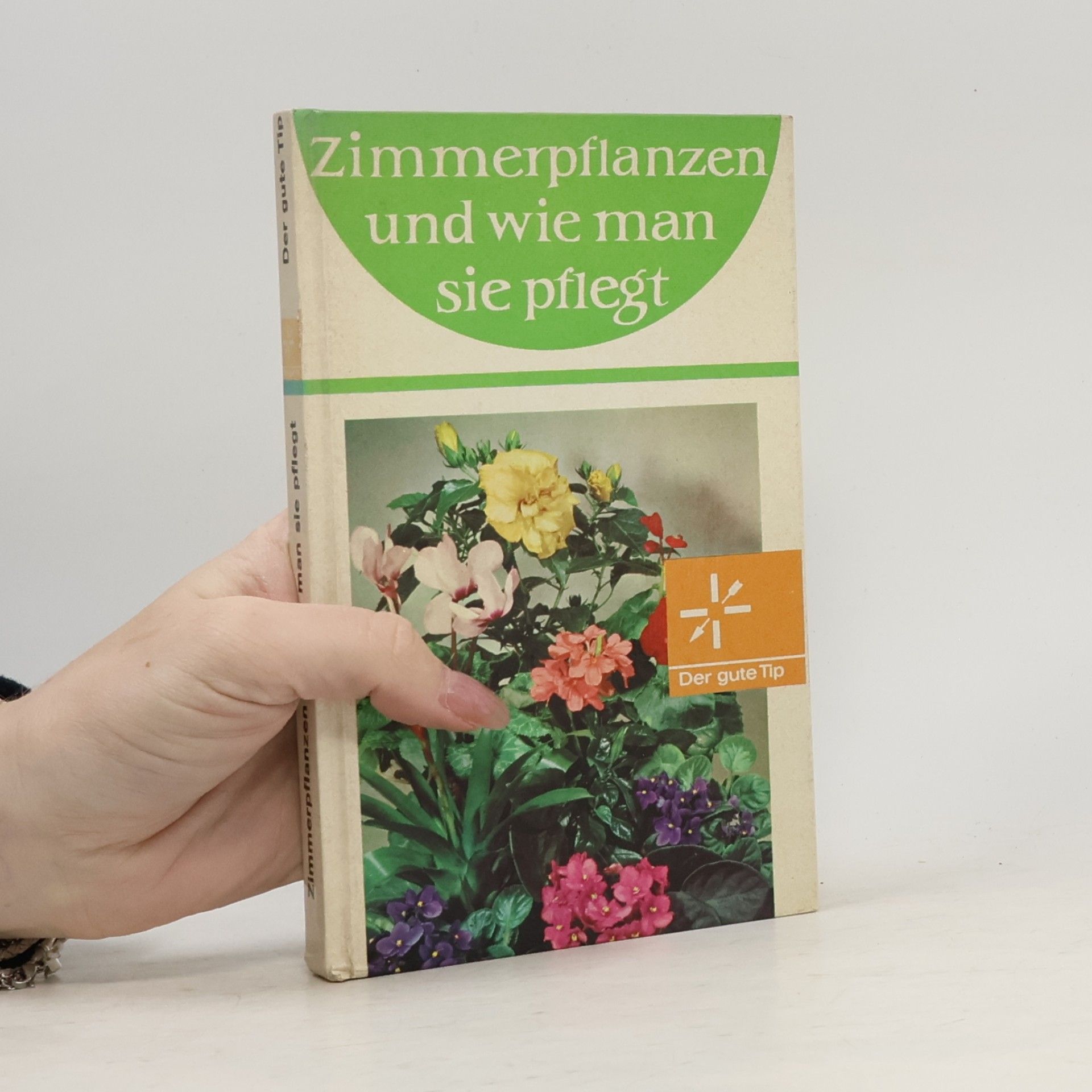 Inge Lindt Zimmerpflanzen und wie man sie pflegt