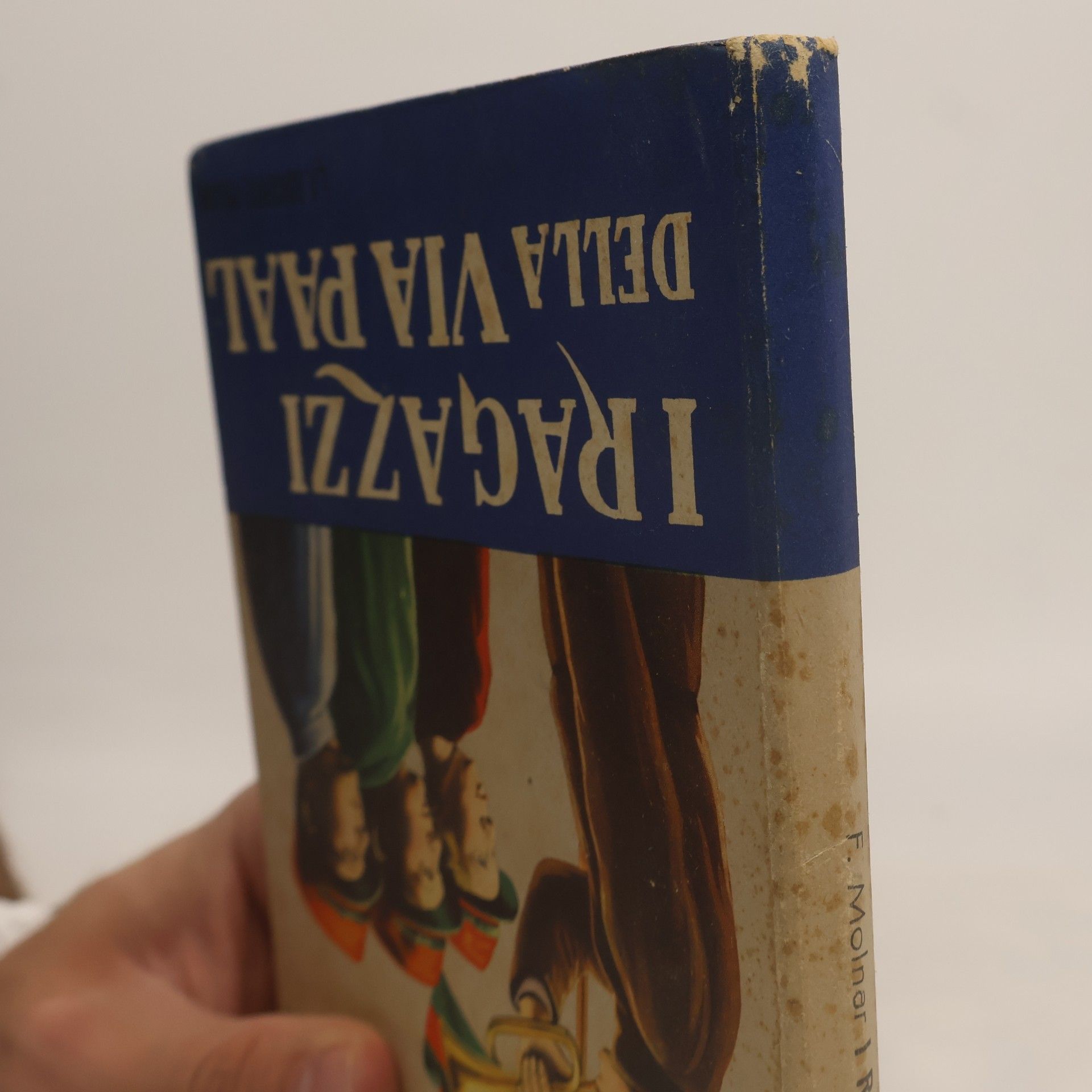 Ferenc Molnár I ragazzi della via Paal
