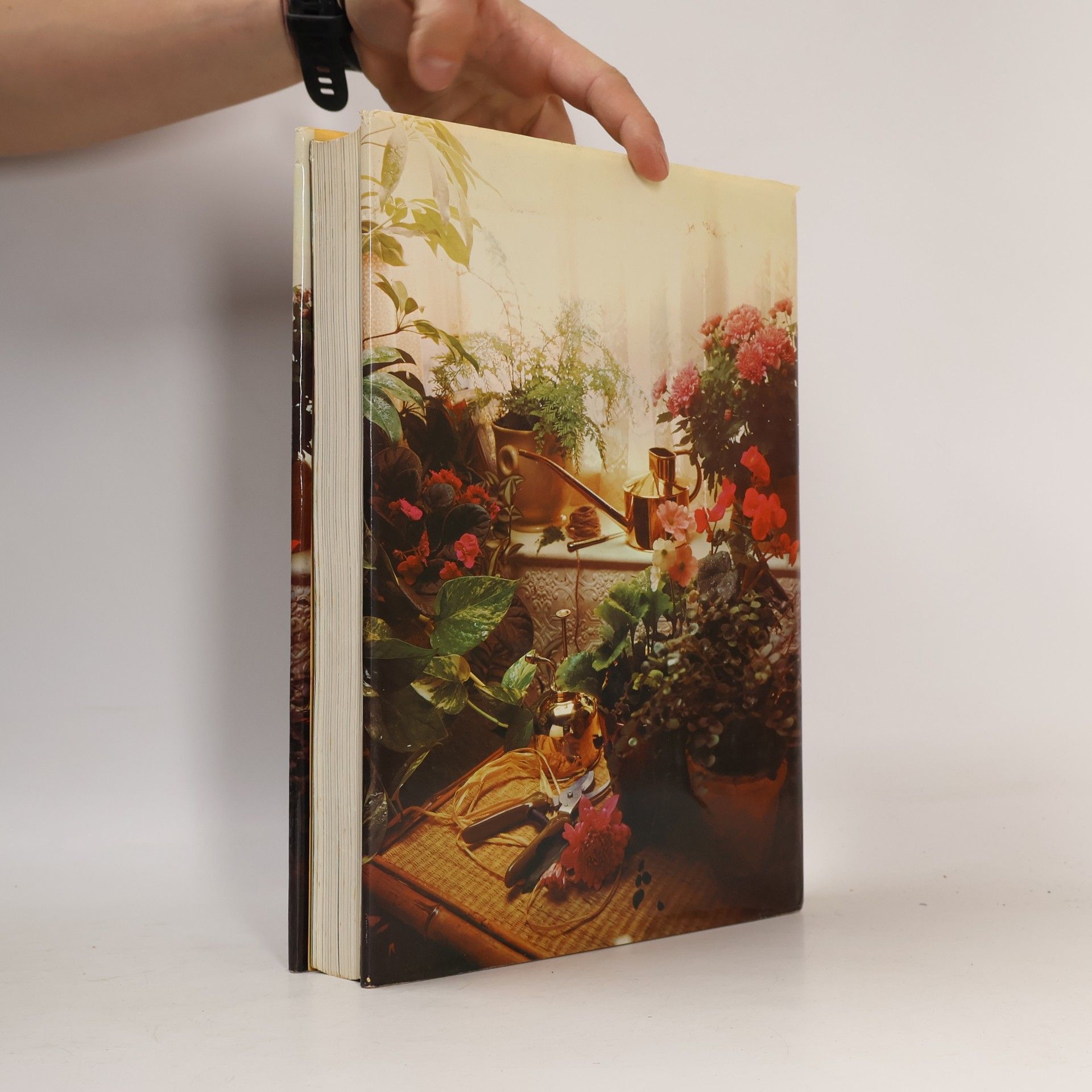 David Squire The Book of Houseplants