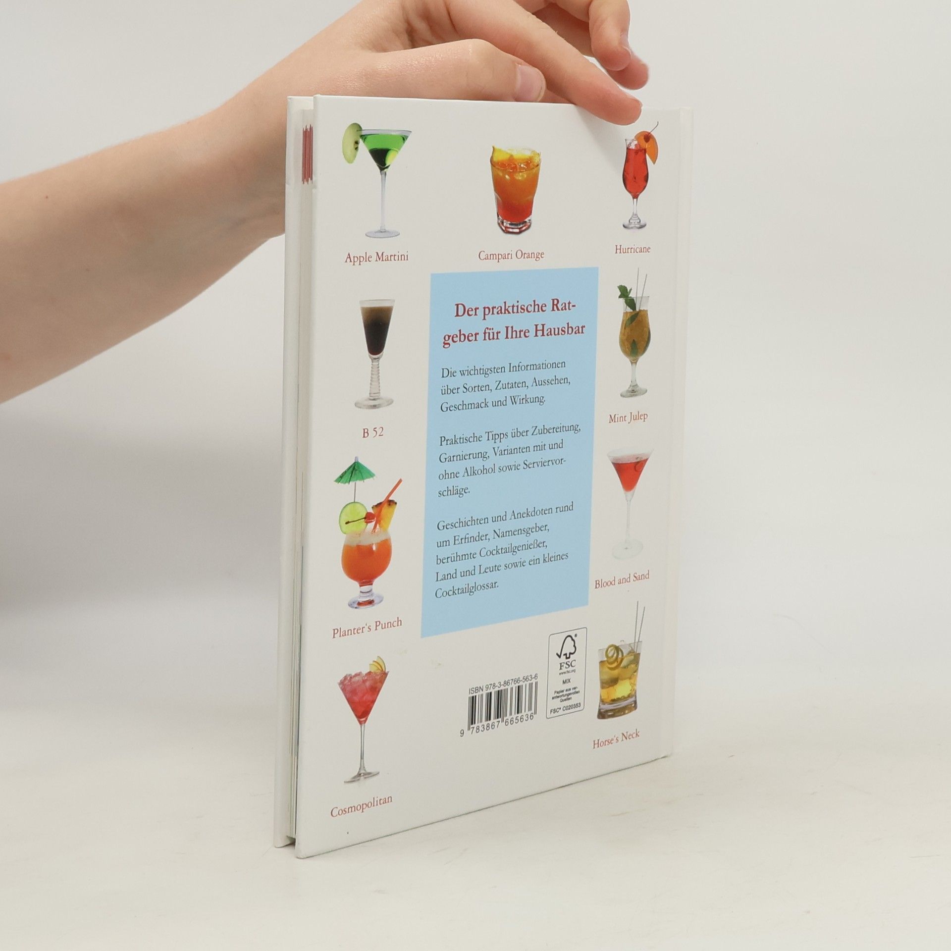 Kolektiv autorů Die leckersten Cocktails der Welt