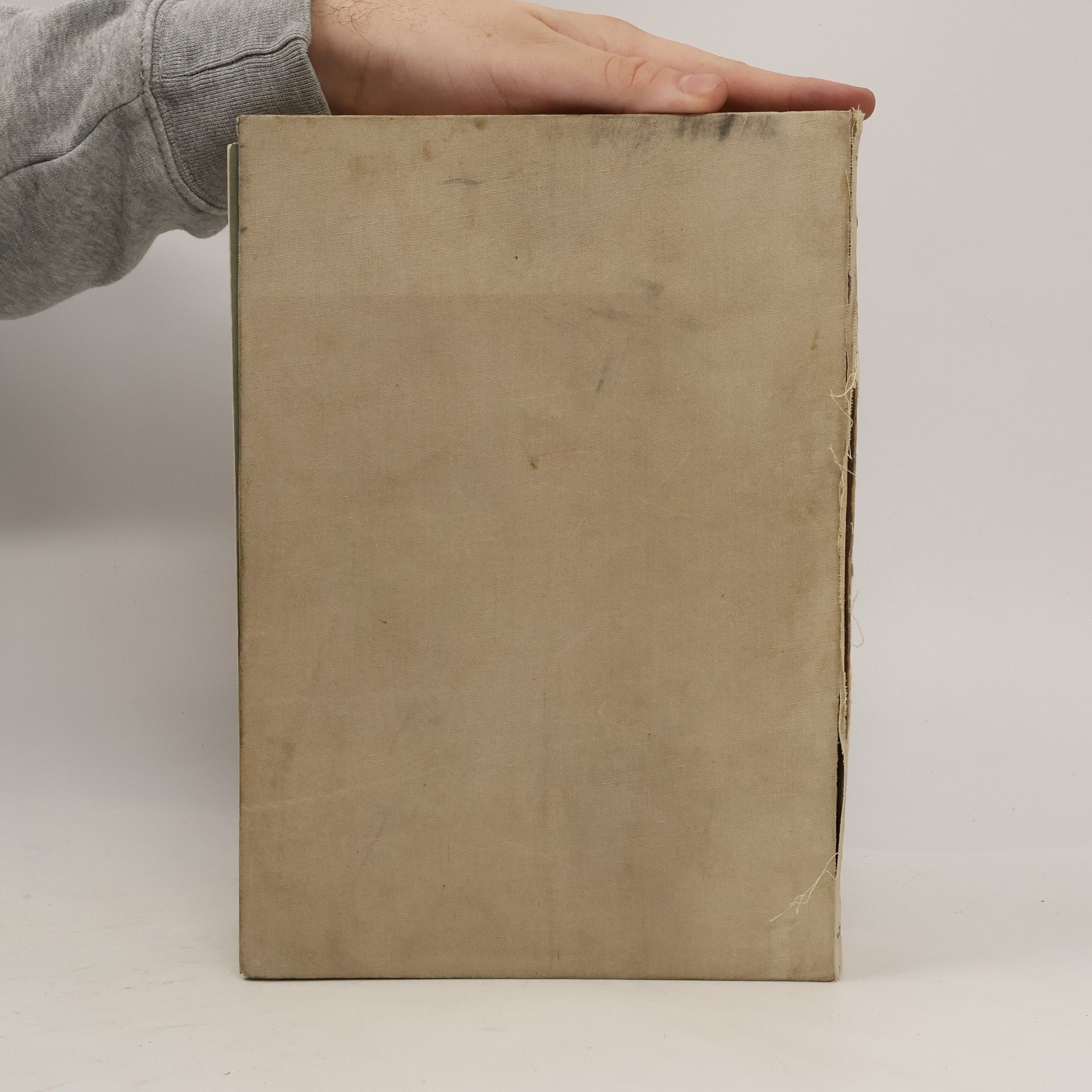 Ernst Bumm Grundriss zum Studium der Geburtshilfe.