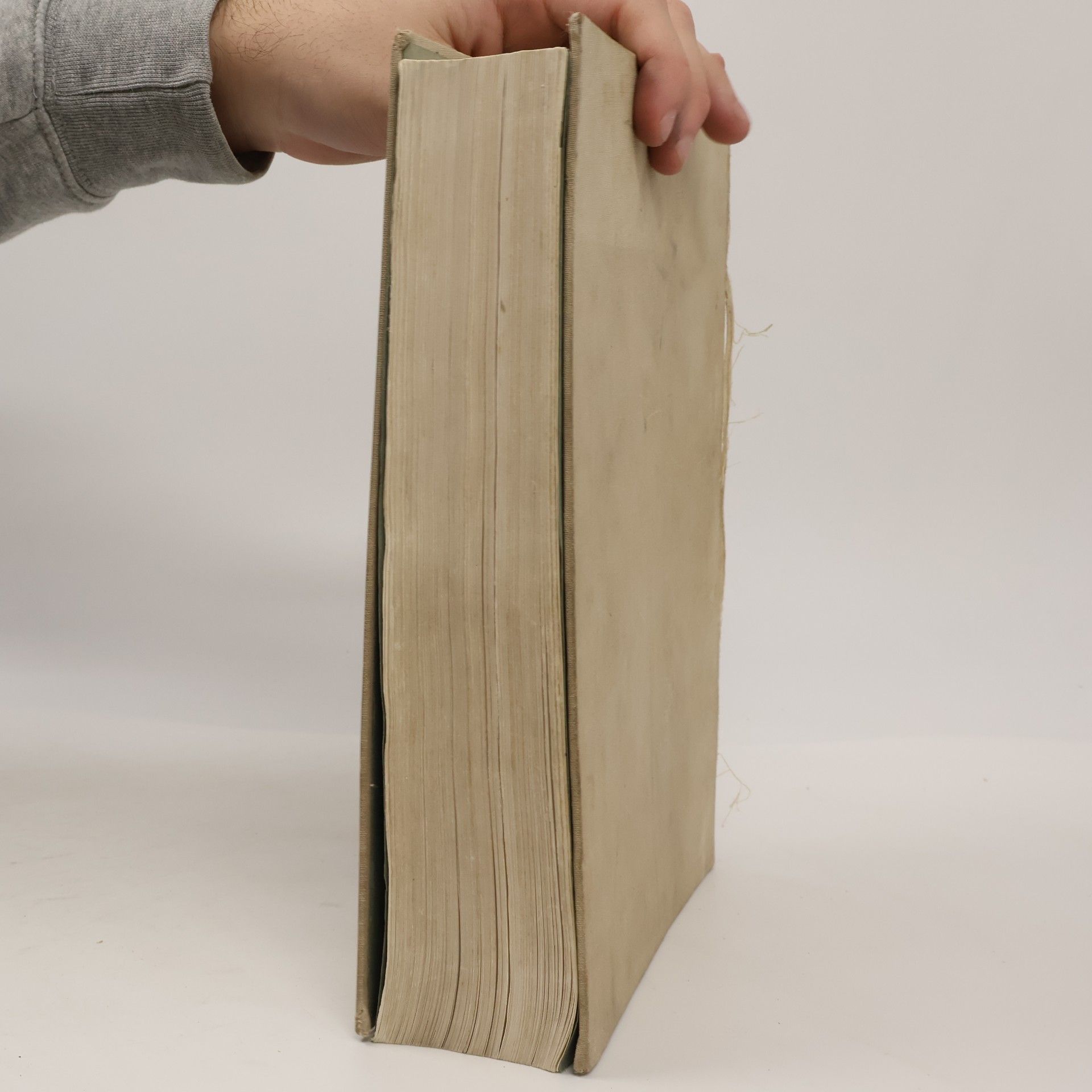 Ernst Bumm Grundriss zum Studium der Geburtshilfe.