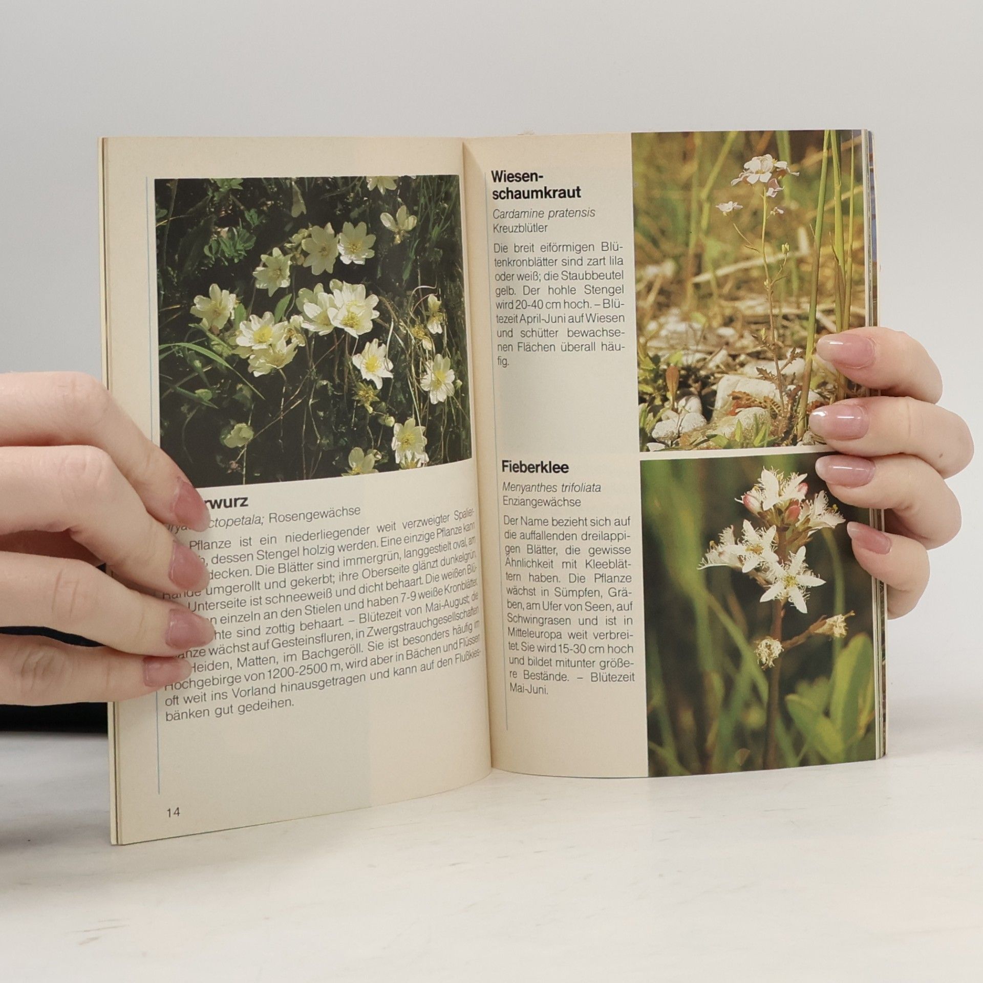 Various authors Wildblumen. Erkennen und Bestimmen