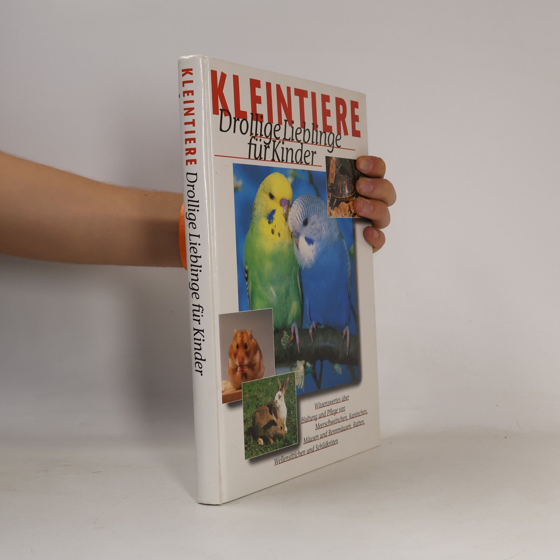 Autorenkollektiv Kleintiere. Drollige Lieblinge für Kinder
