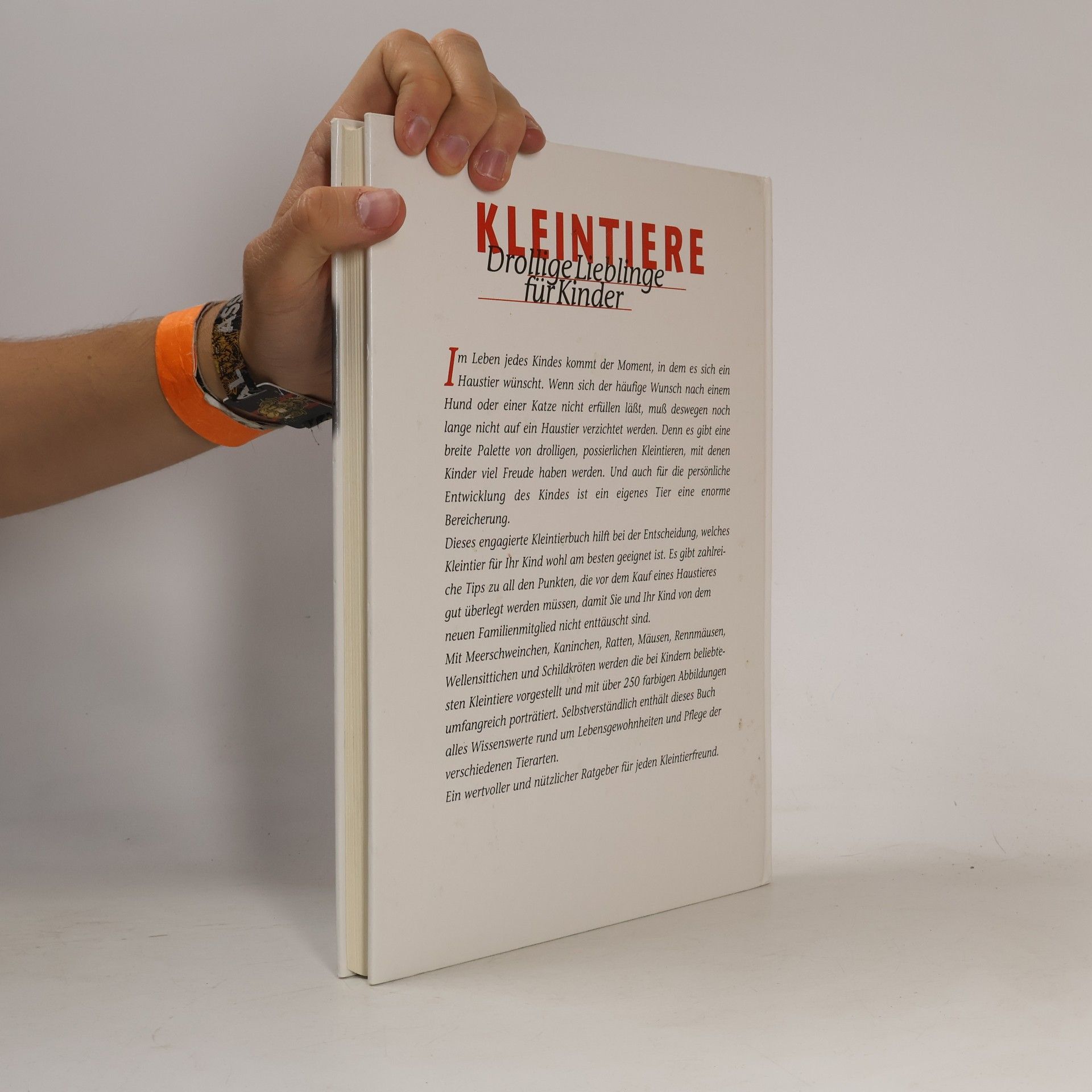 Autorenkollektiv Kleintiere. Drollige Lieblinge für Kinder