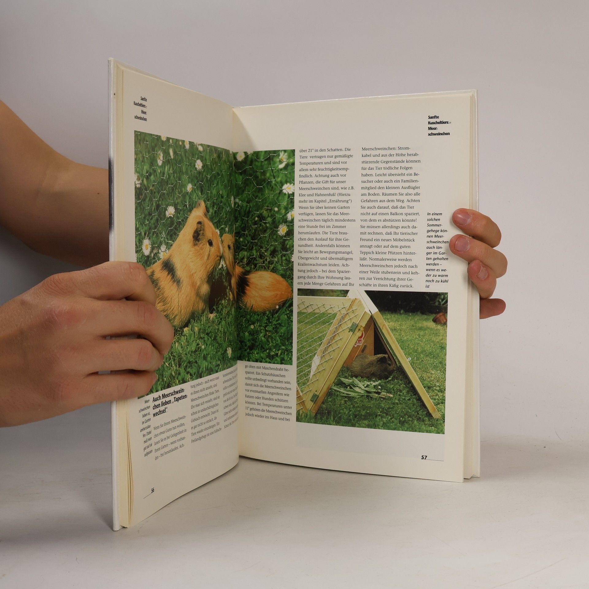 Autorenkollektiv Kleintiere. Drollige Lieblinge für Kinder
