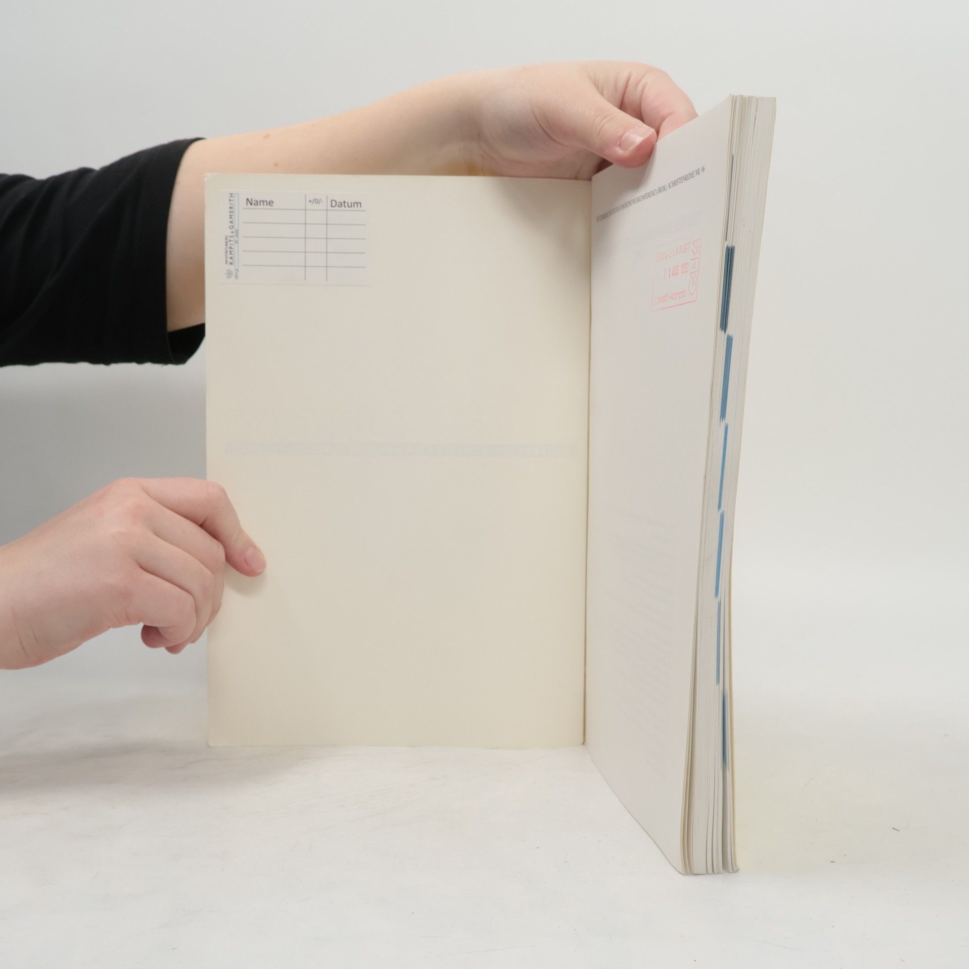 Österreichisches Raumordnungskonzept 1991