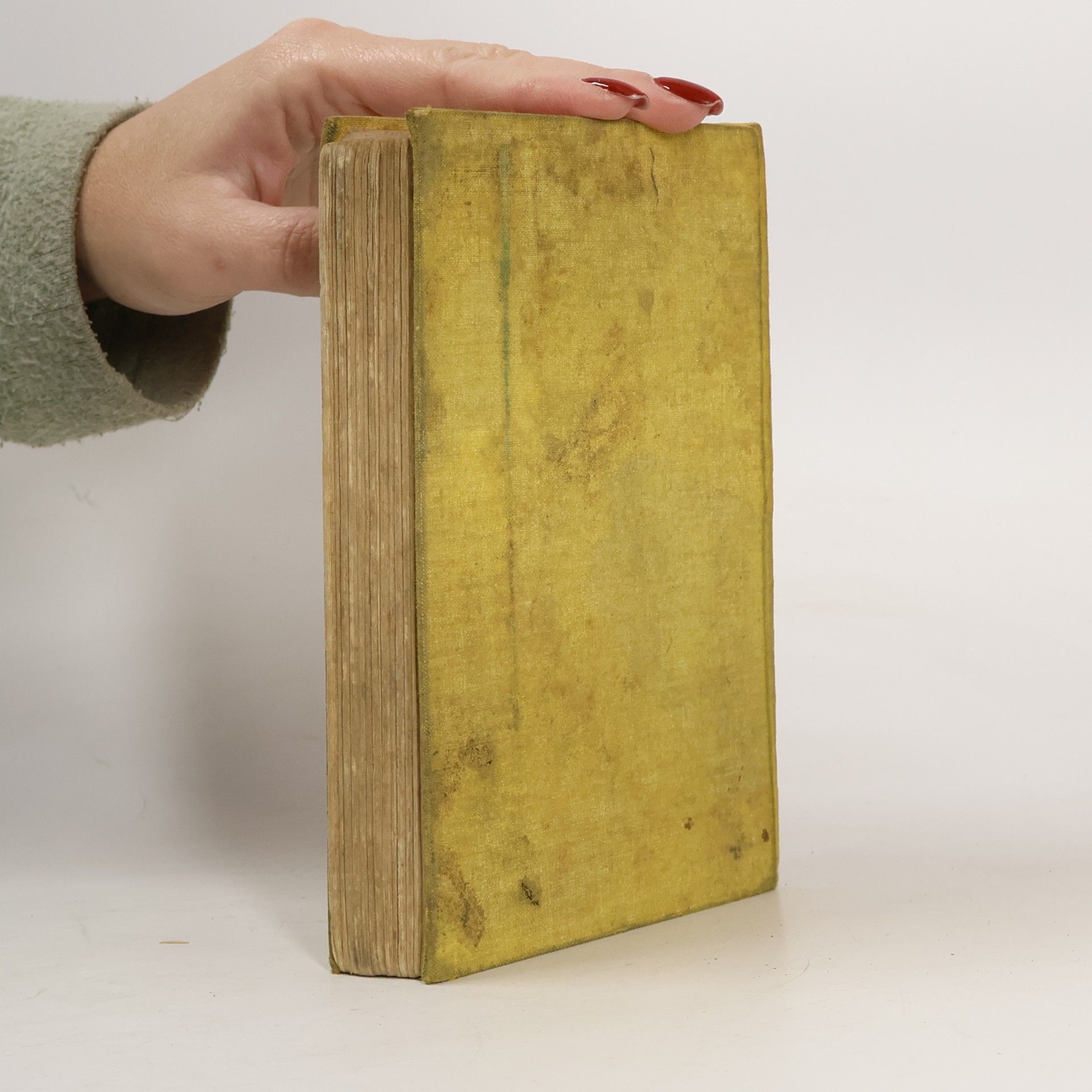Otfried V. Hanstein Um das Werk des Vaters