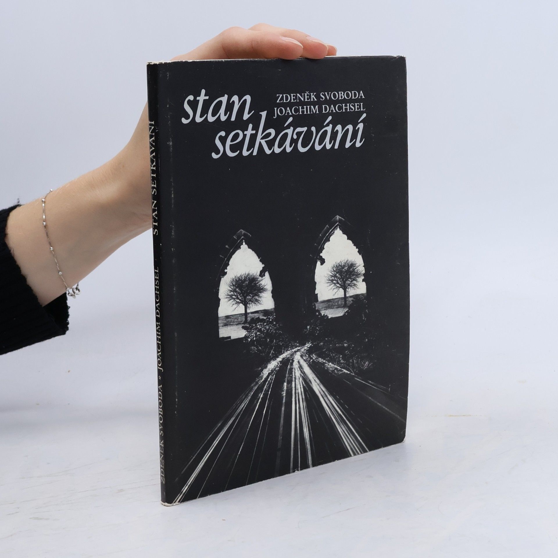 Stan setkávání
